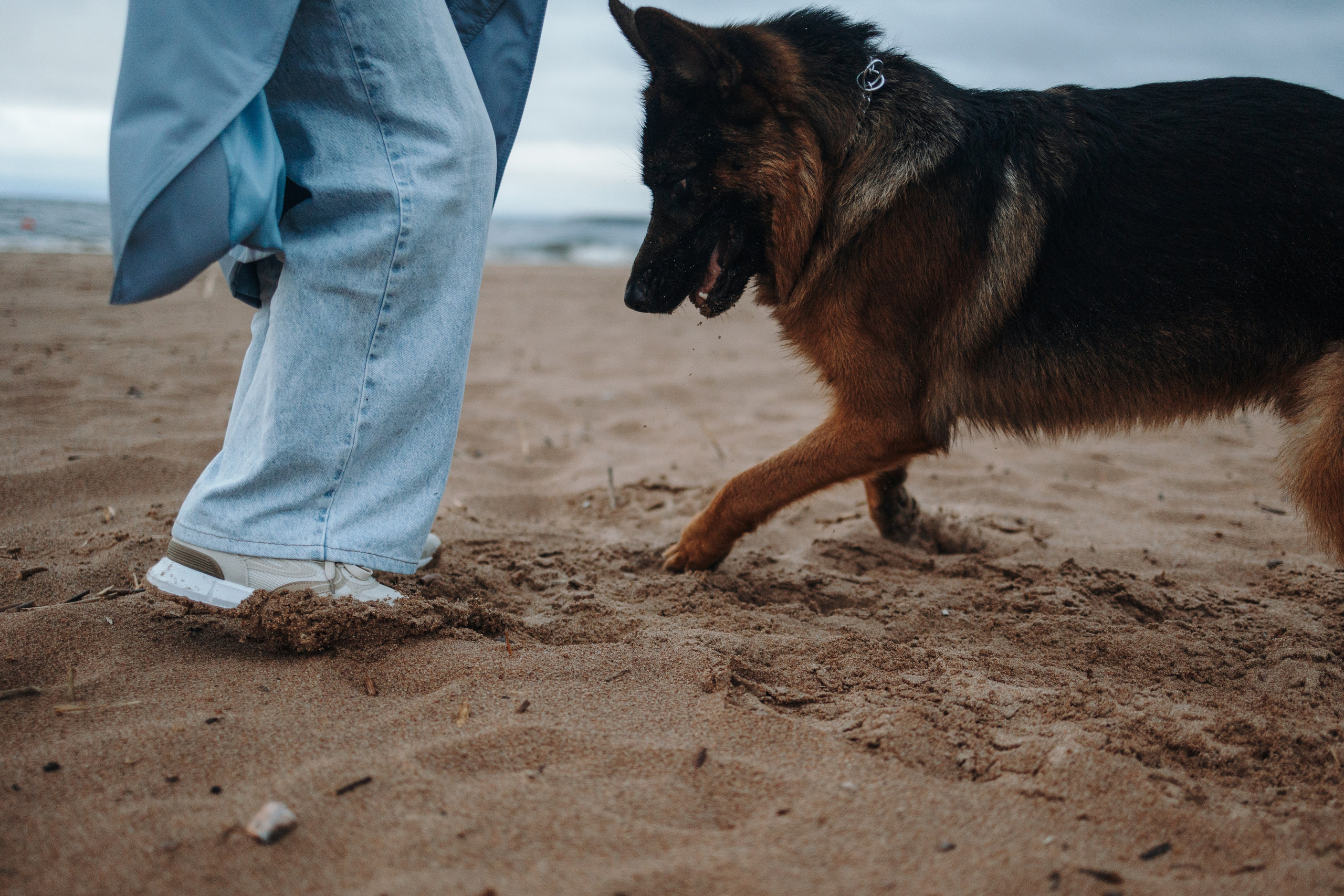 Катя и Агат. Фотограф — Анималист | Санкт-Петербург