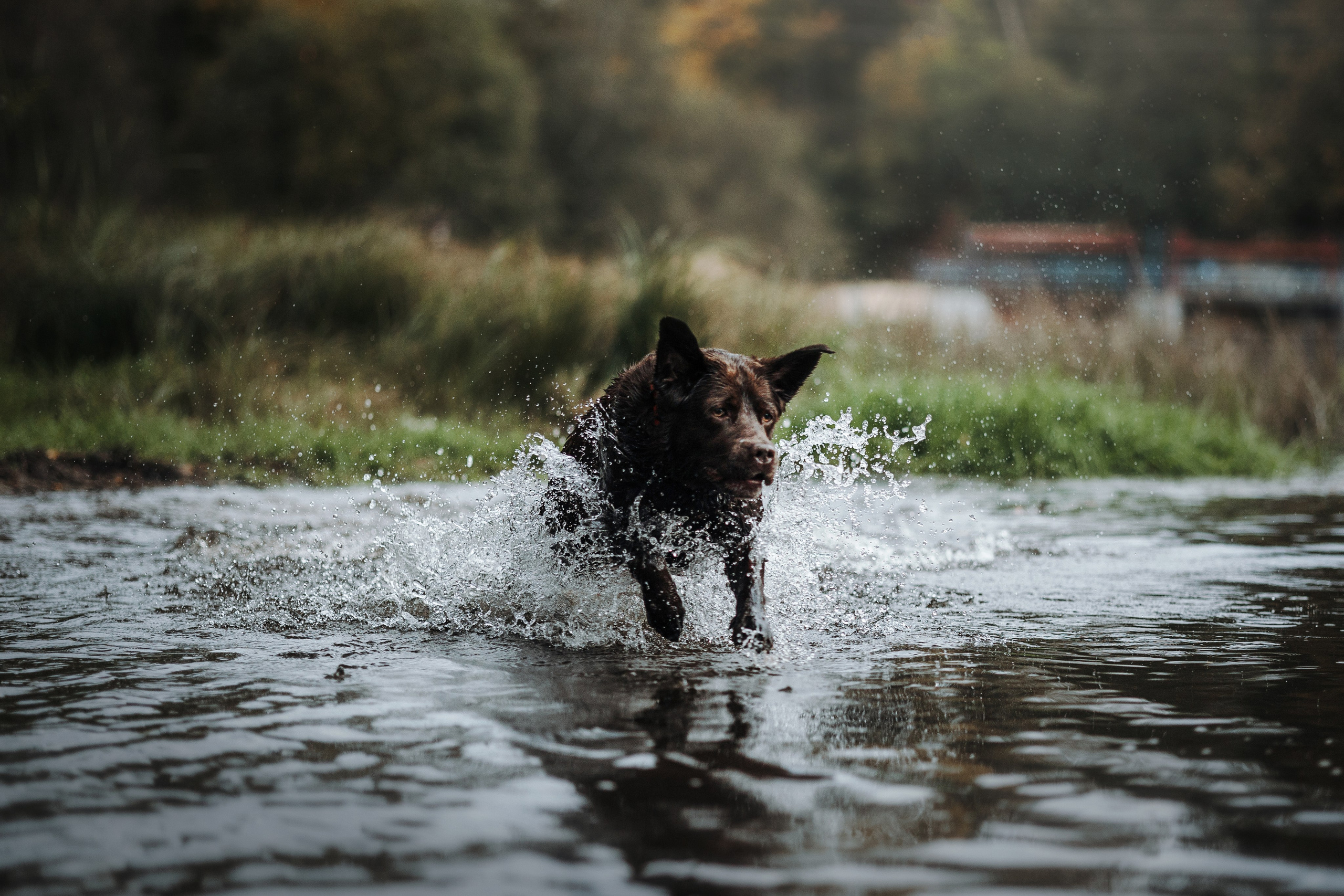 Девочки и их семья. Фотограф — Анималист | Санкт-Петербург