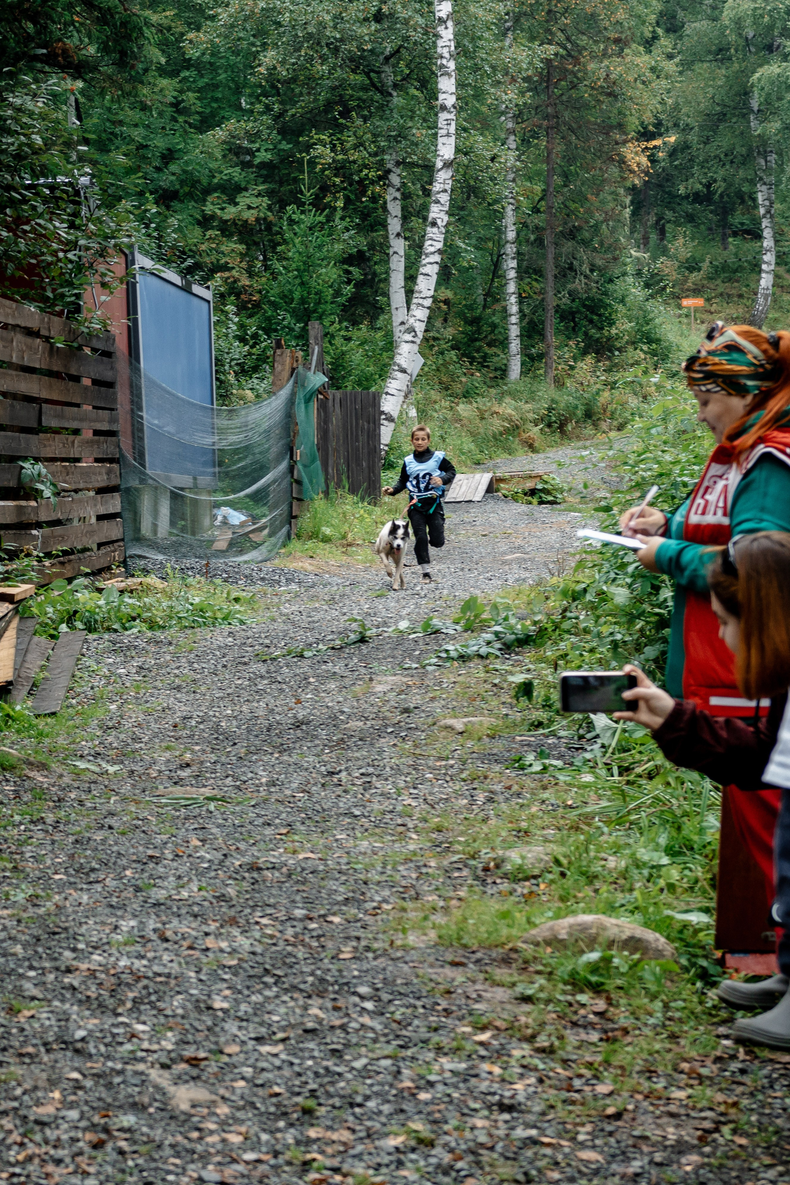 Дог-треккинг