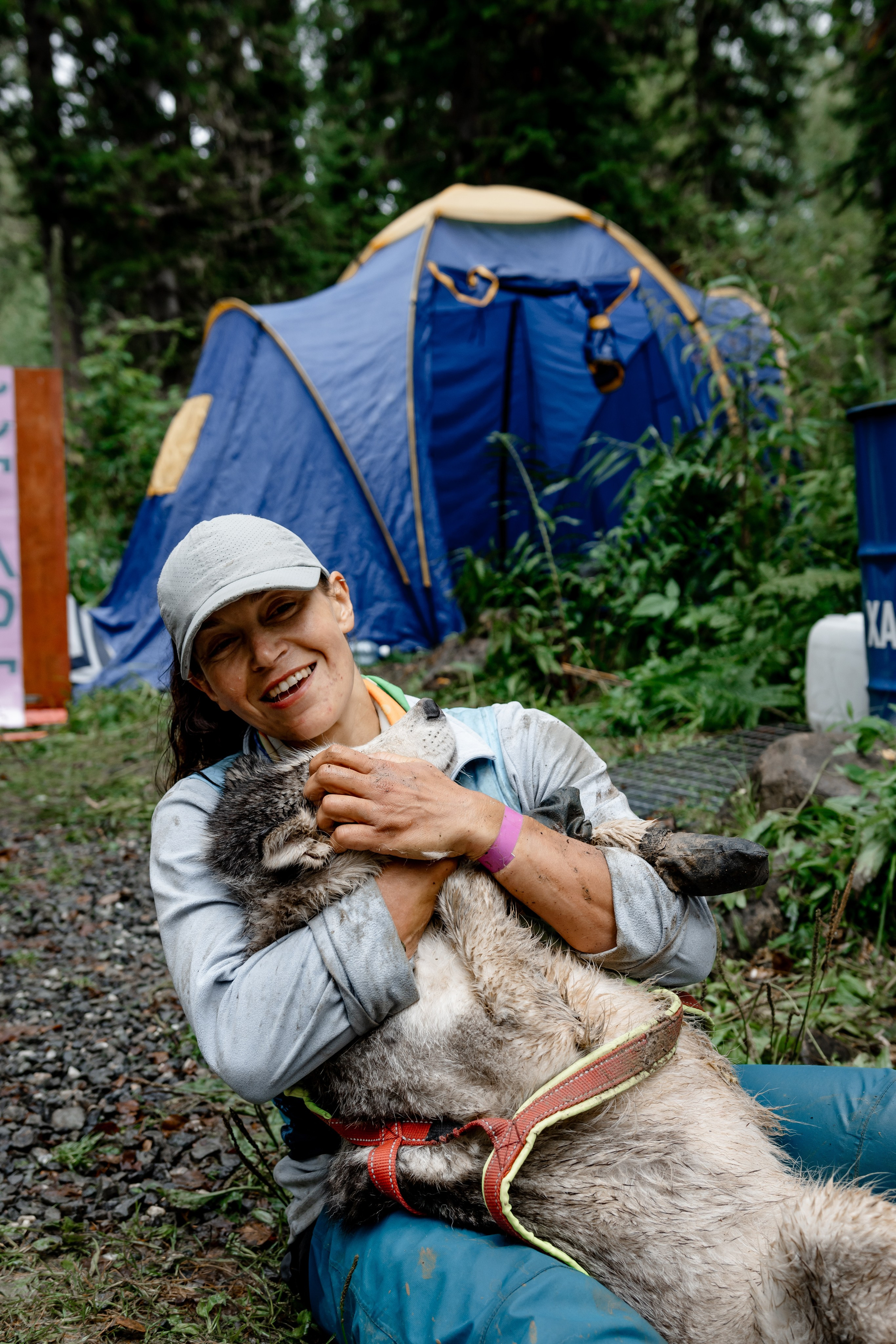 Дог-треккинг