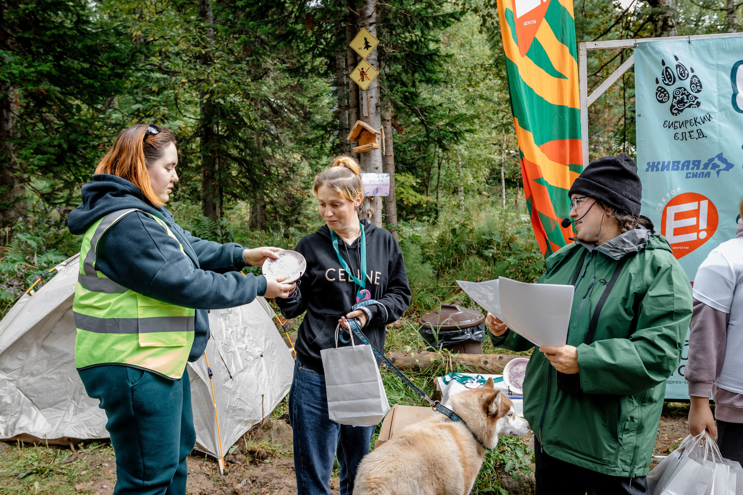 Дог-треккинг