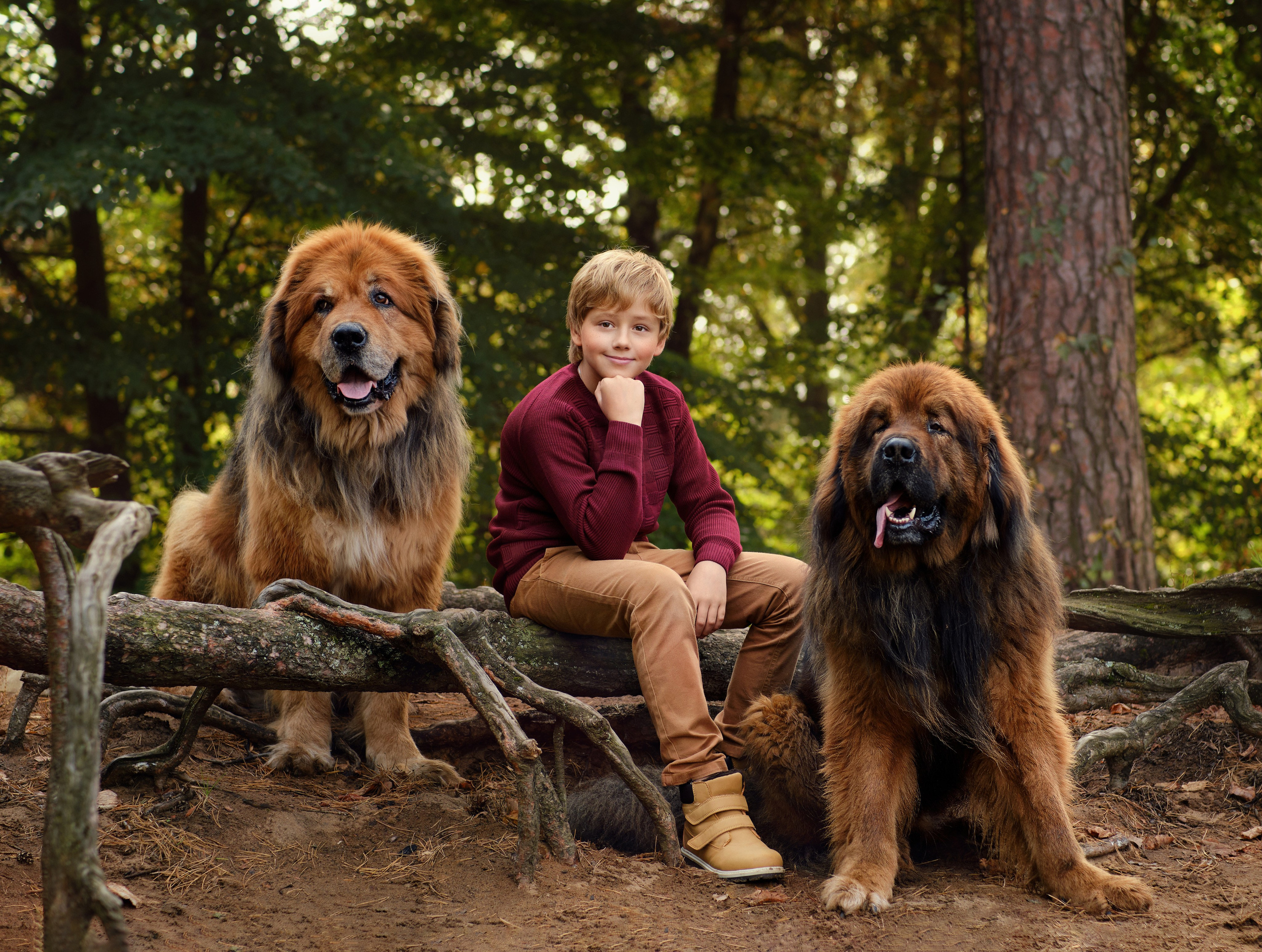 Семья| Дети