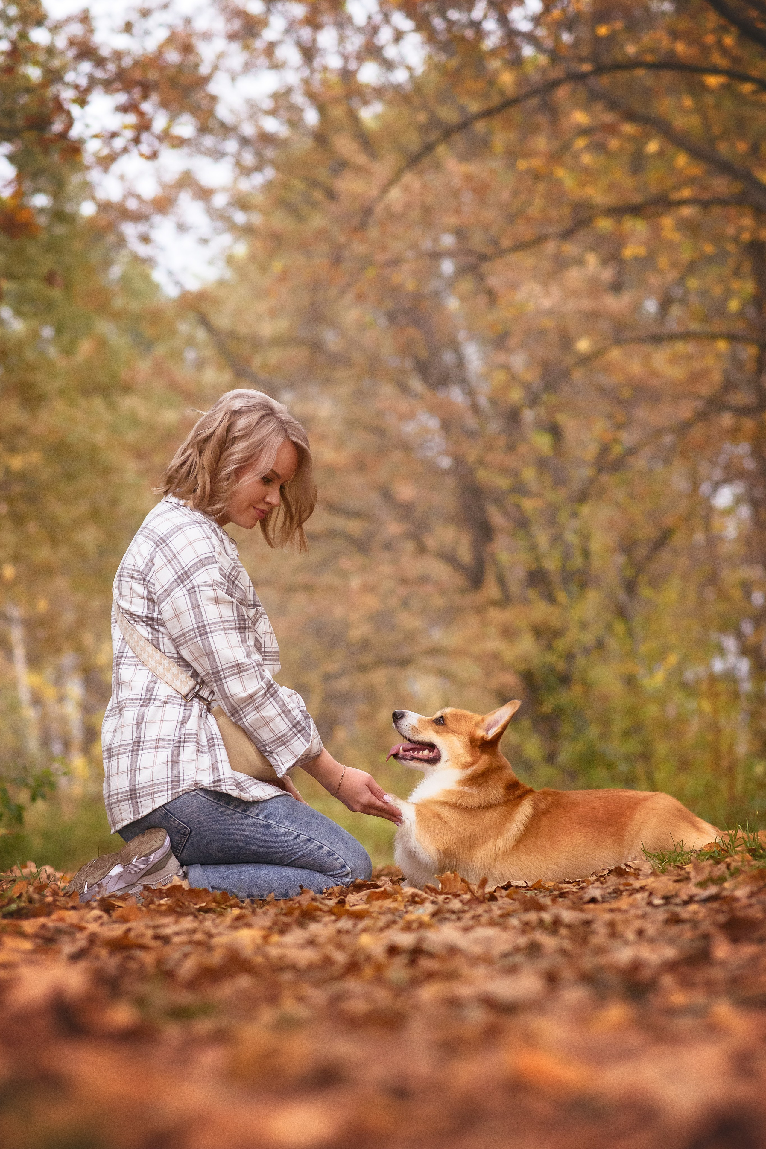 Женя и Феникс — 05.10.2024. Фотограф — Анималист | Анна Абрамова