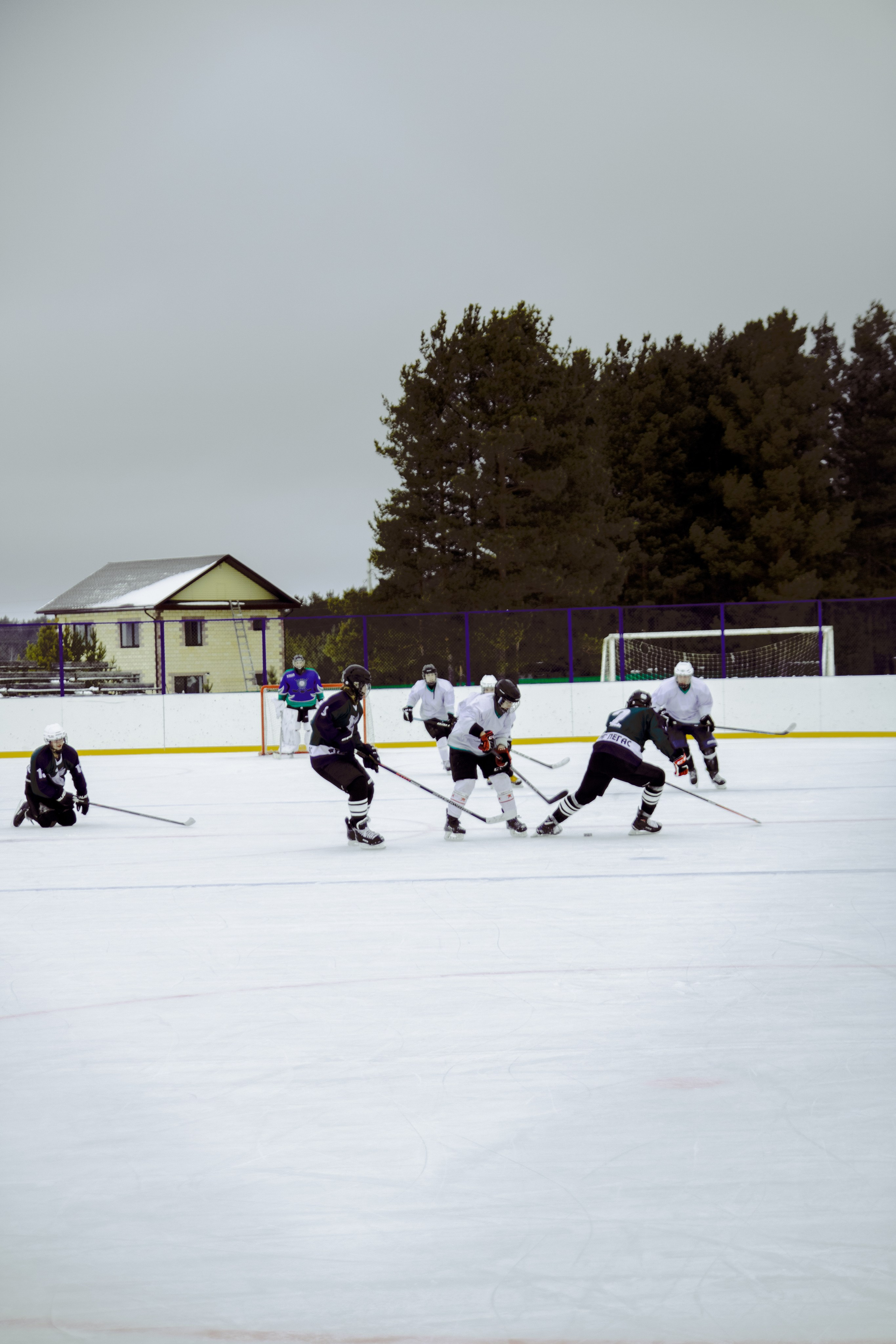 Хоккей 29.12.2024