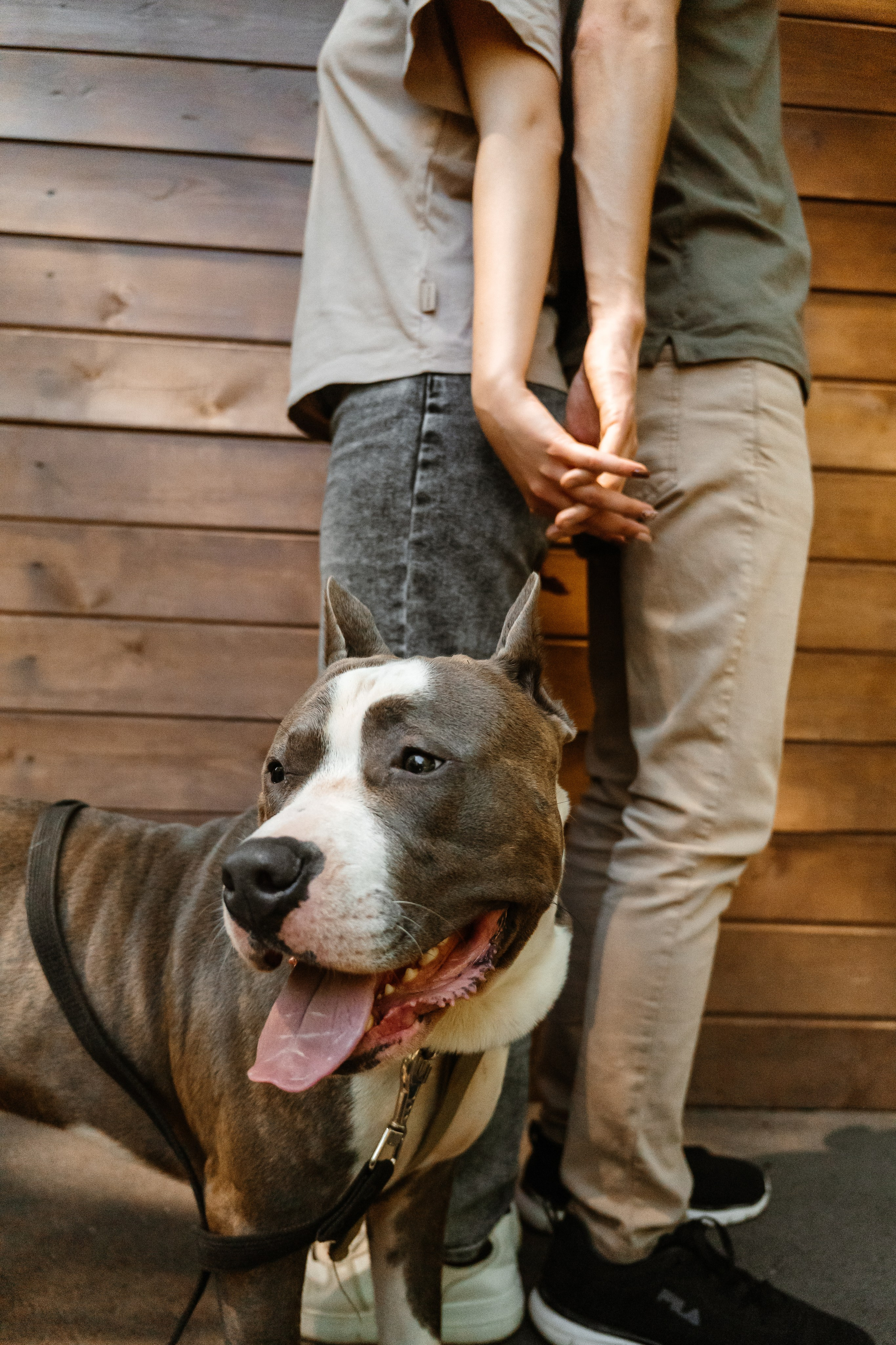Ксения и Артём. Семейный и LifeStyle фотограф в Жигулевске и Тольятти Рустам Ханмурзин