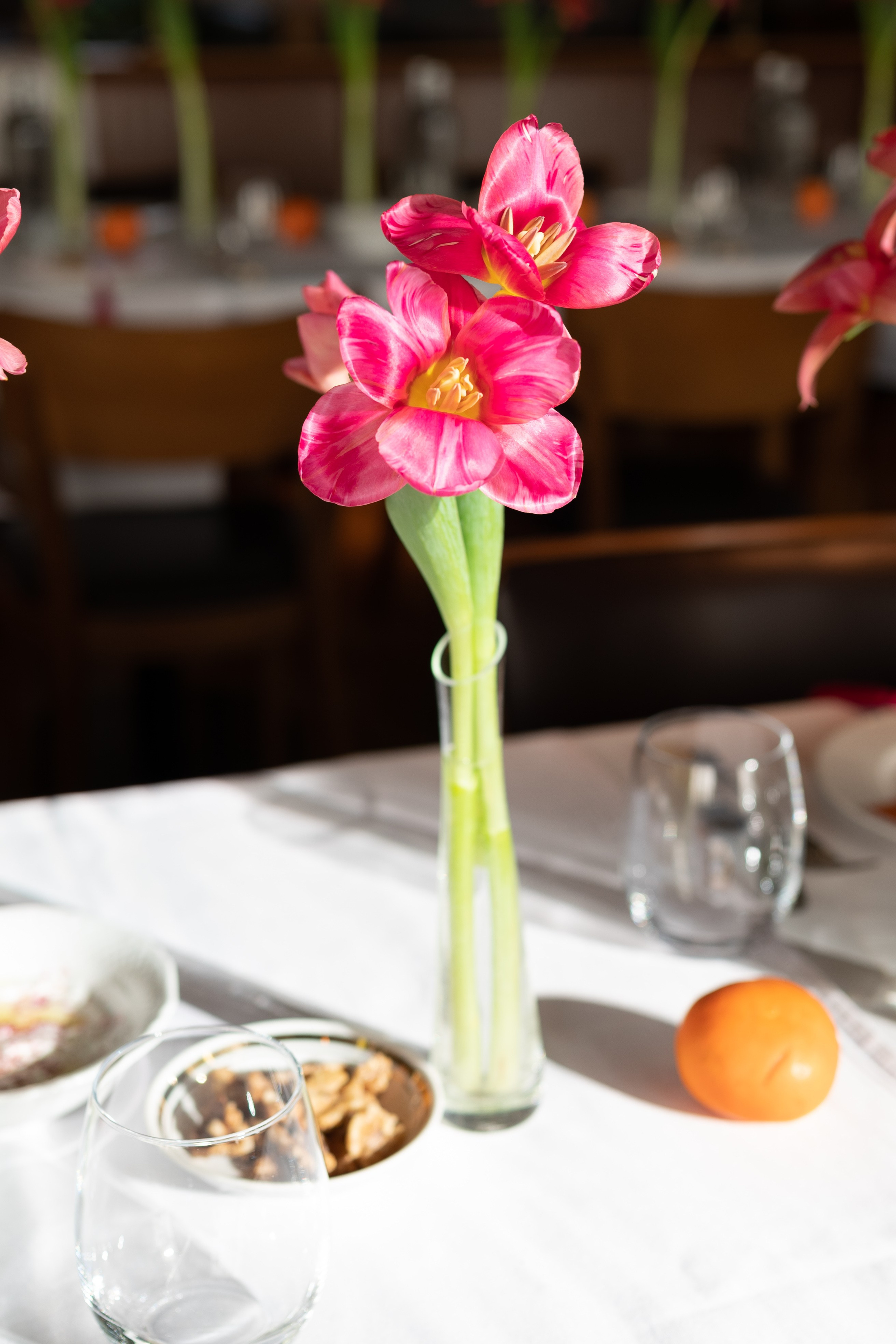 Бизнес-завтраки. Женский и семейный фотограф в Москве и Красногорске Светлана Левченко