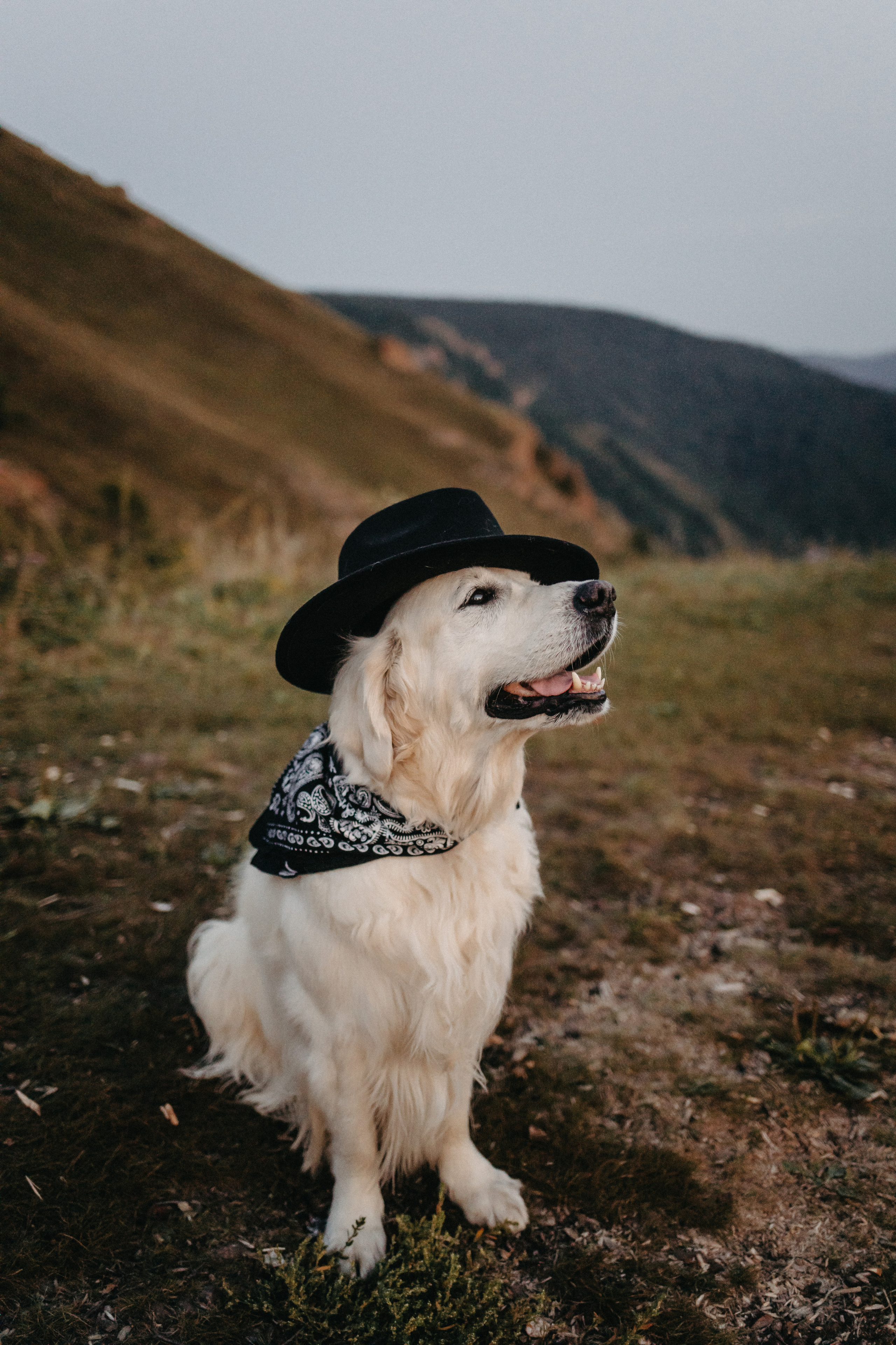 Ирина и Александр. Свадебный и Семейный фотограф по всему миру Анна Фёдорова