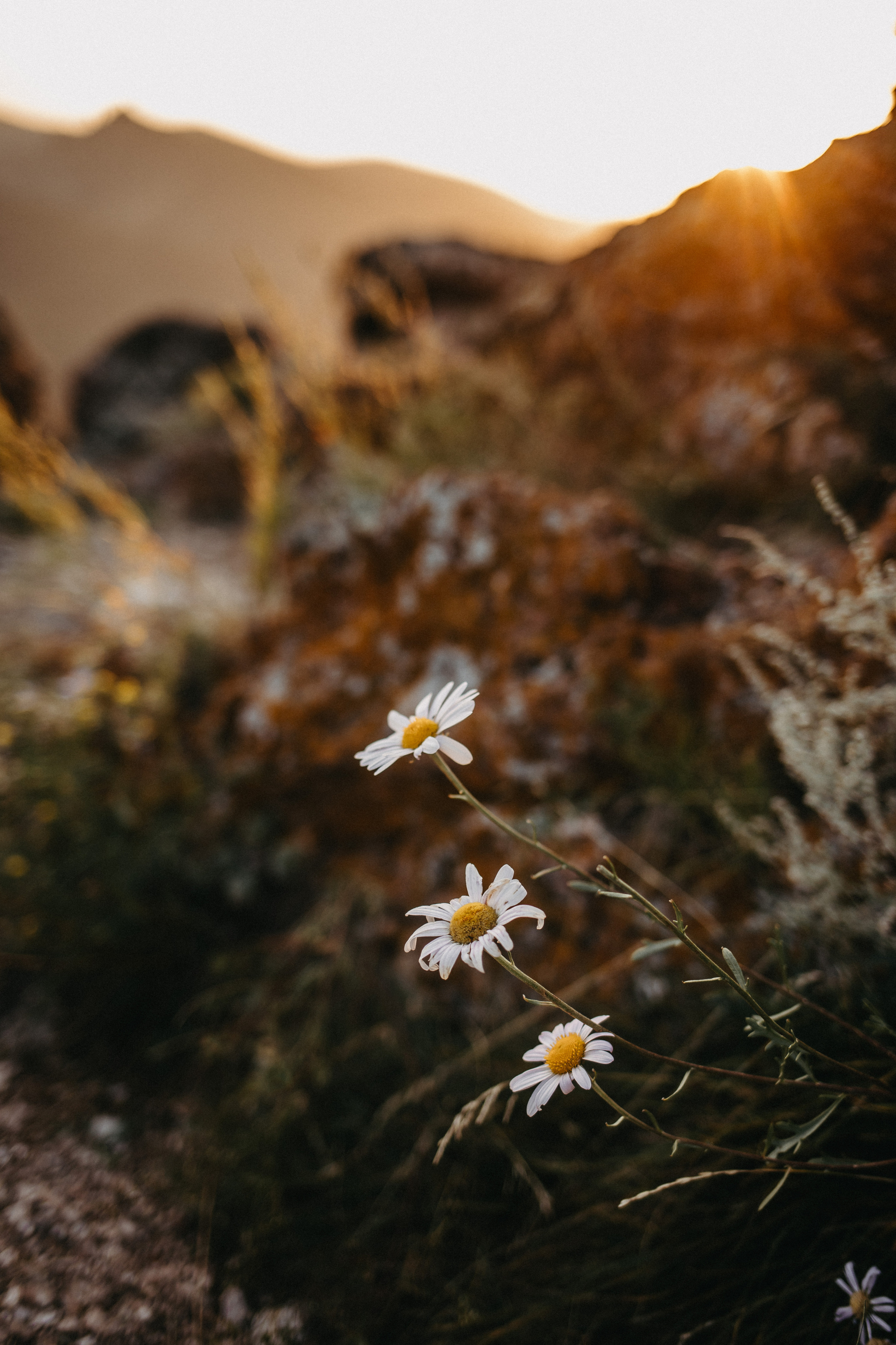Ирина и Александр. Свадебный и Семейный фотограф по всему миру Анна Фёдорова