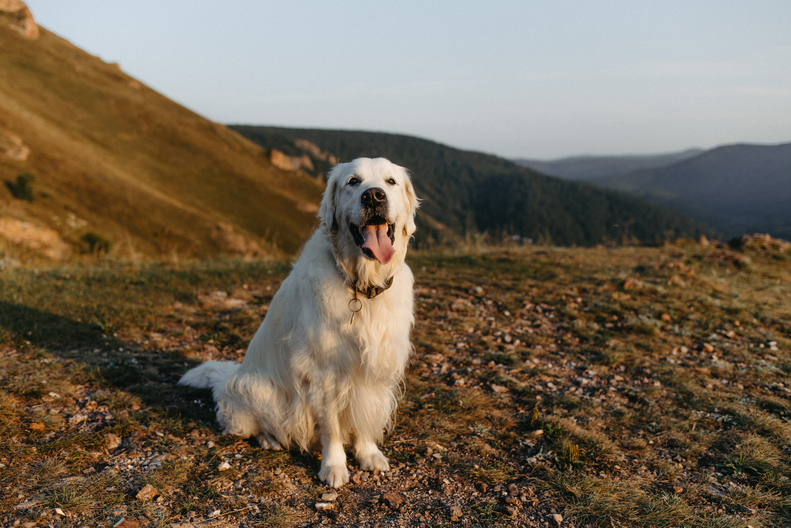 Ирина и Александр. Свадебный и Семейный фотограф по всему миру Анна Фёдорова