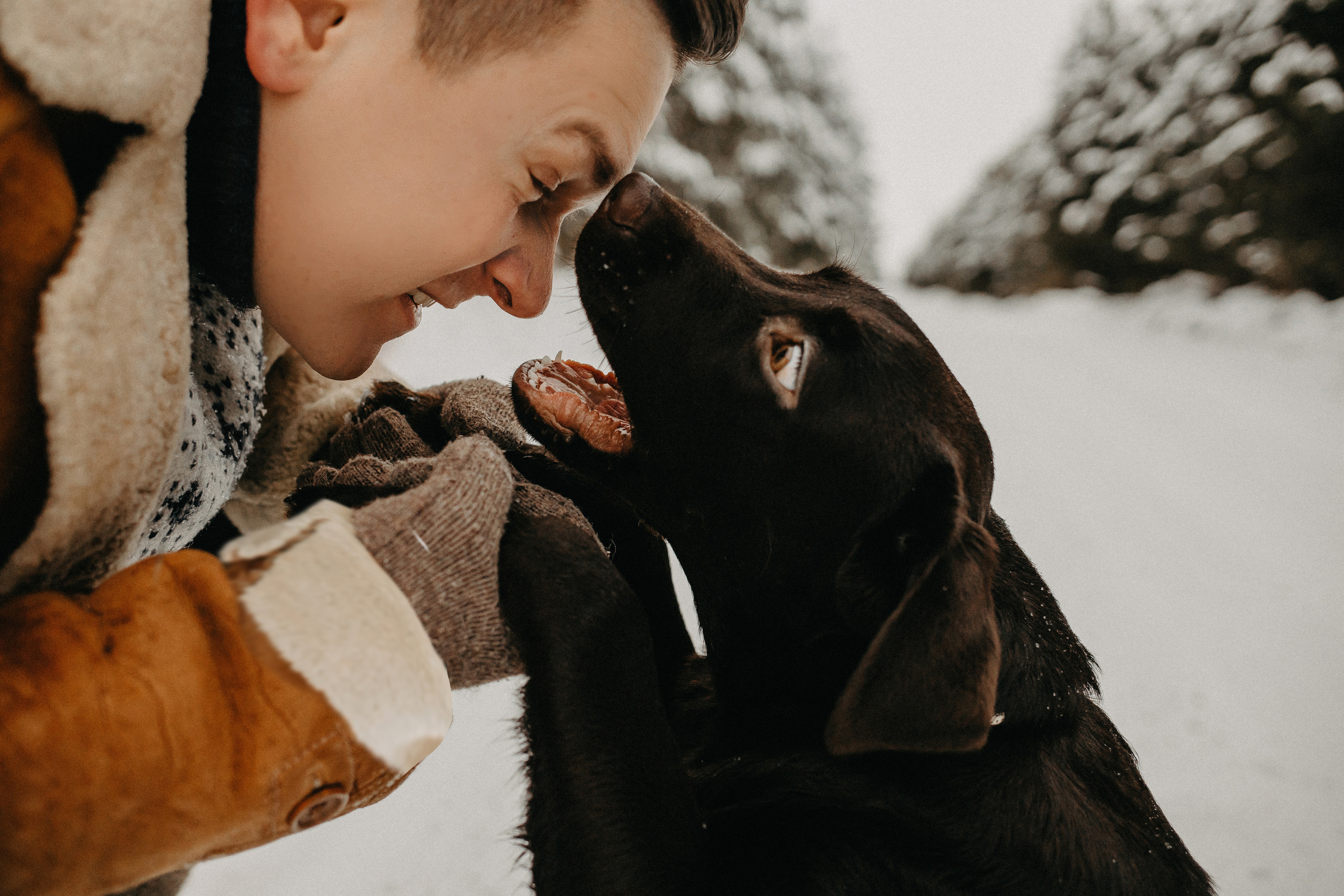 Константин, Екатерина, Тимофей и Тора. Свадебный и Семейный фотограф по всему миру Анна Фёдорова