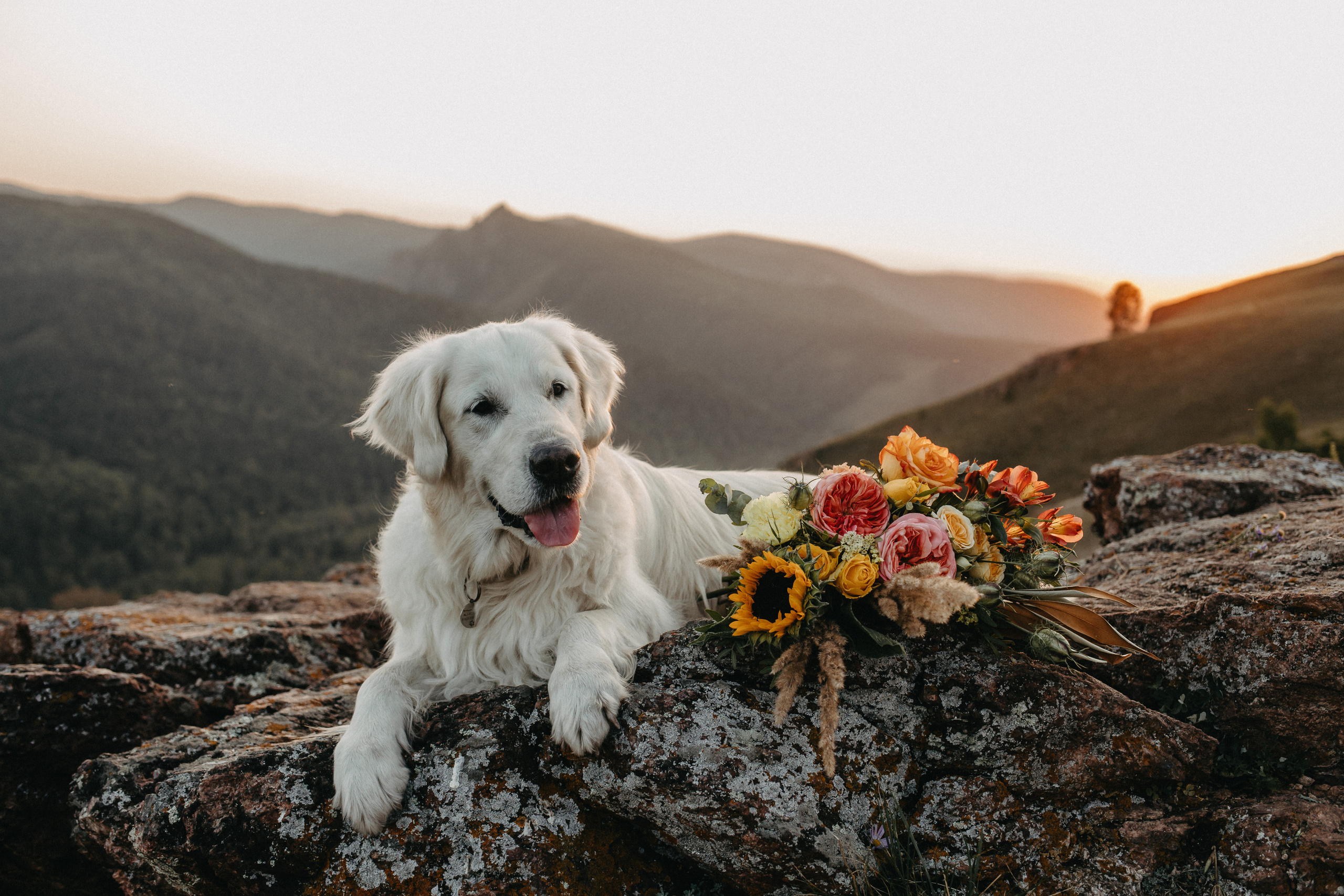 Ирина и Александр. Свадебный и Семейный фотограф по всему миру Анна Фёдорова