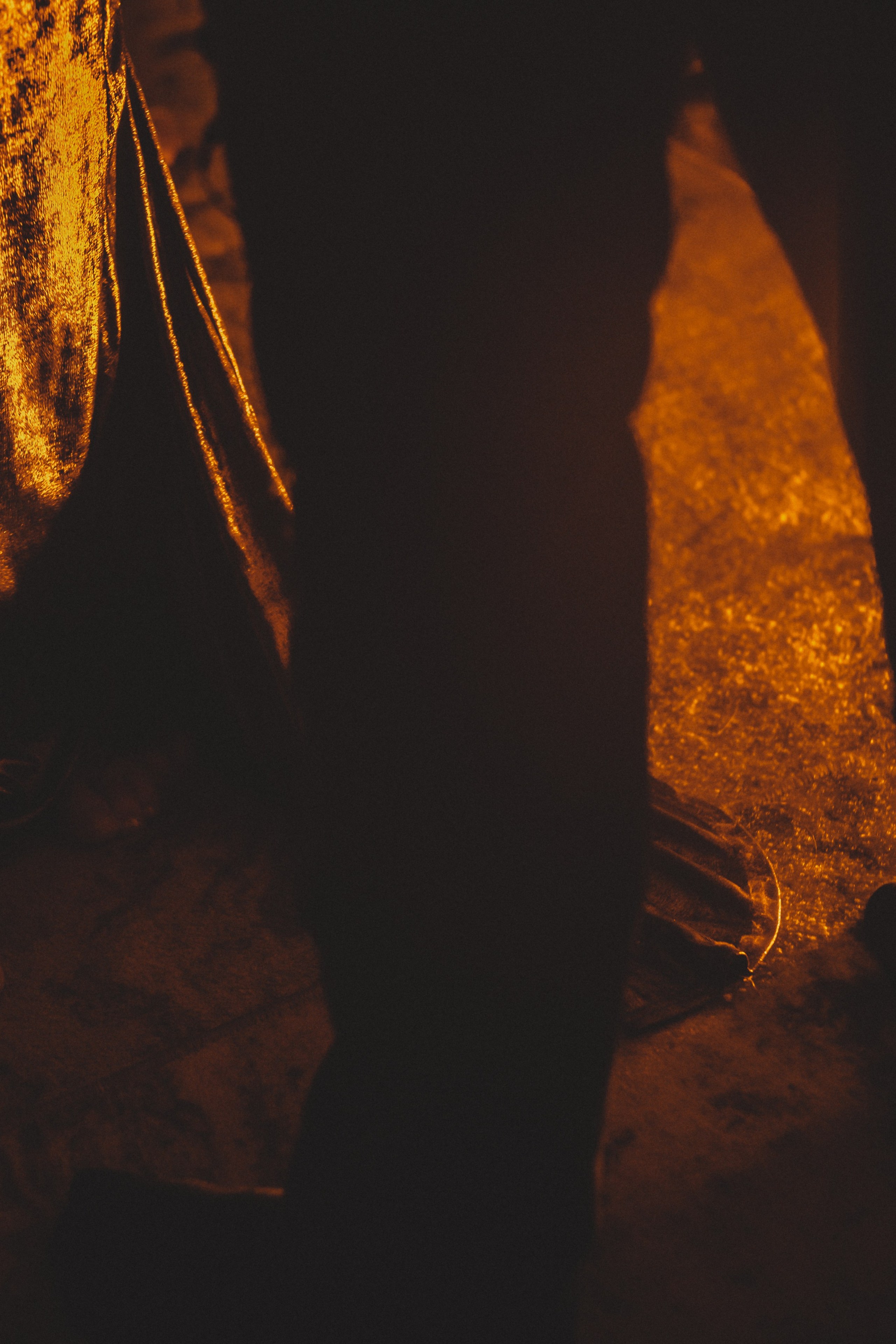 Happy birthday Ninelle!. Игорь Гичка. Портрет с любовью