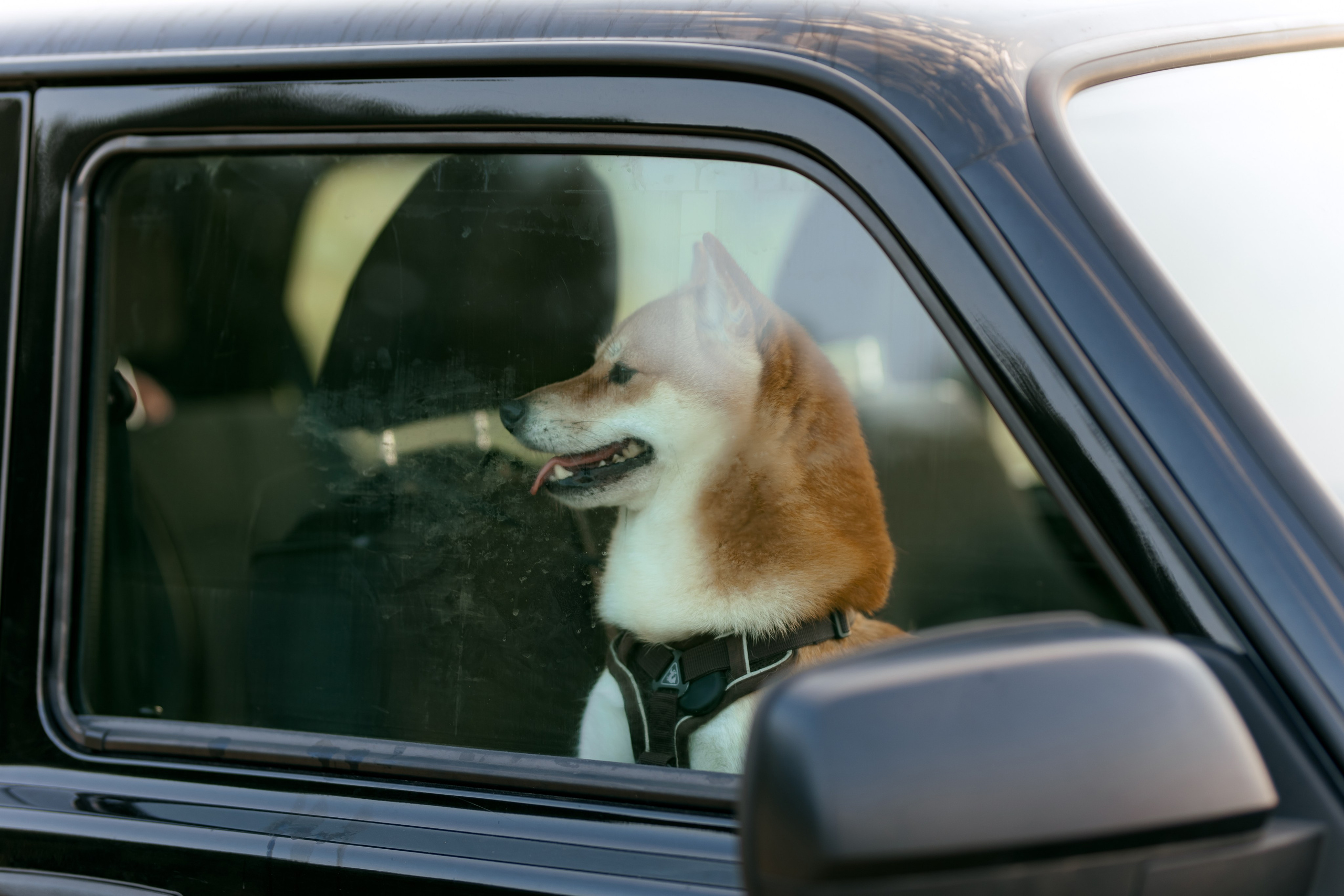 На Демидовском карьере с любовью. Свадебный и семейный фотограф в Туле и области Маша Костина
