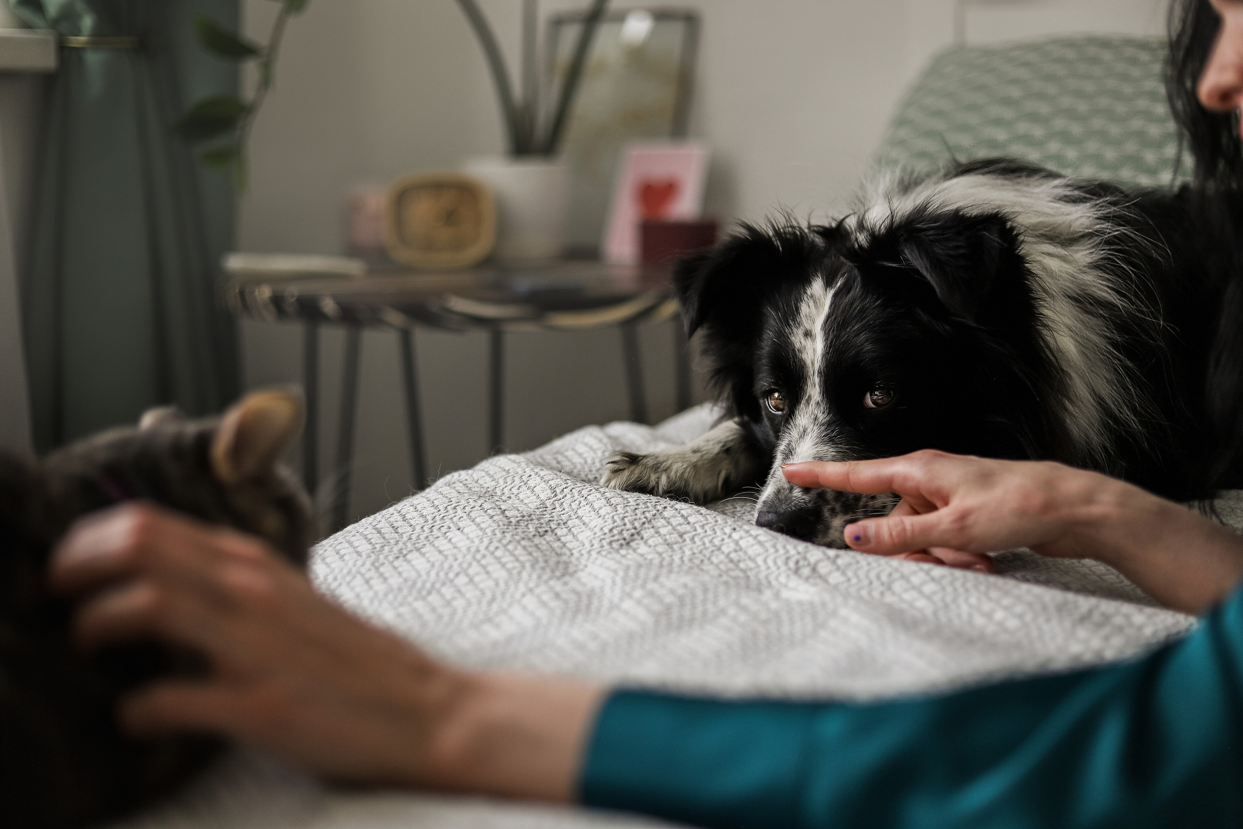 Даша и Катцу. Фотограф — Анималист | Санкт-Петербург