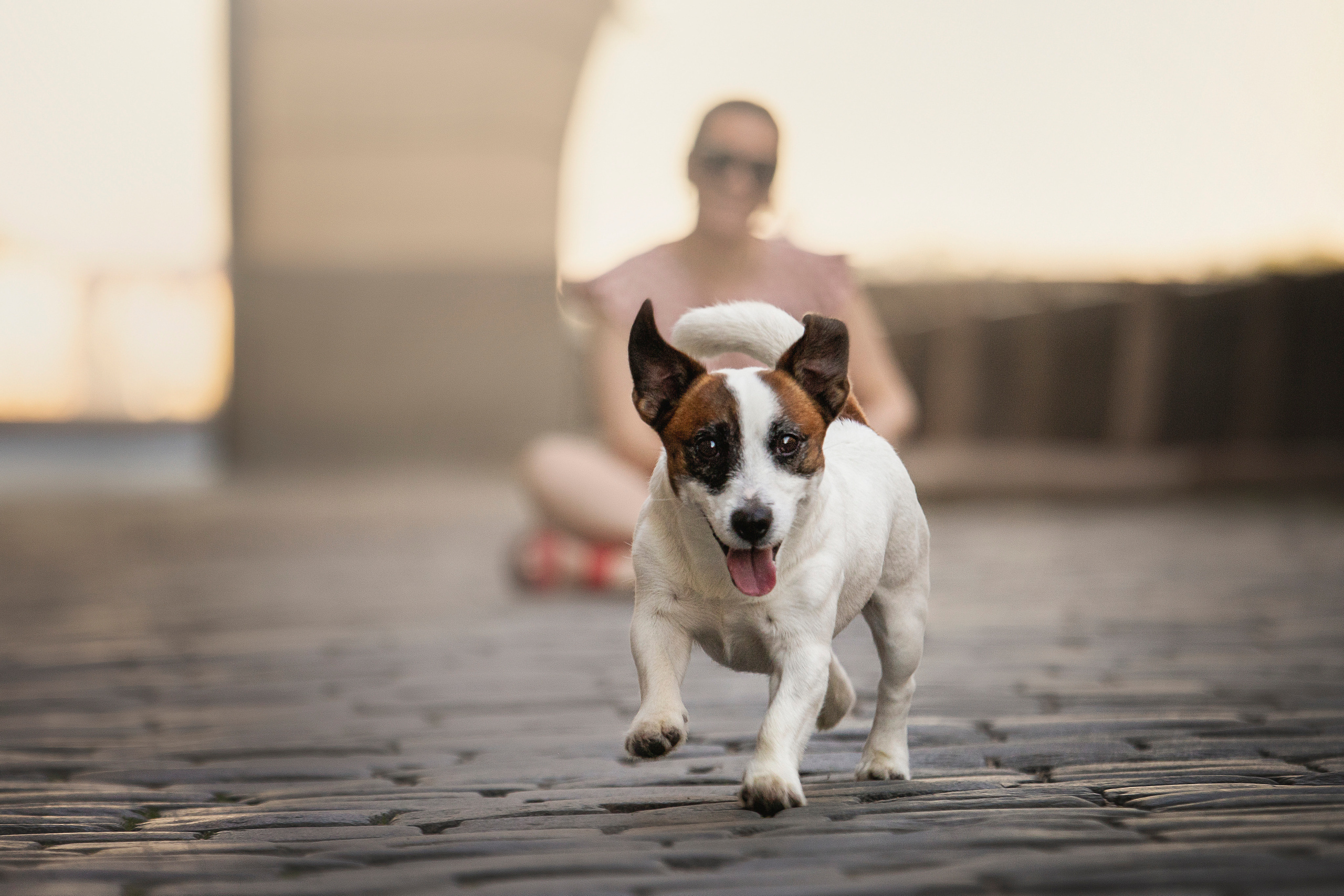 Виктория и Майти. Фотограф — Анималист | Санкт-Петербург
