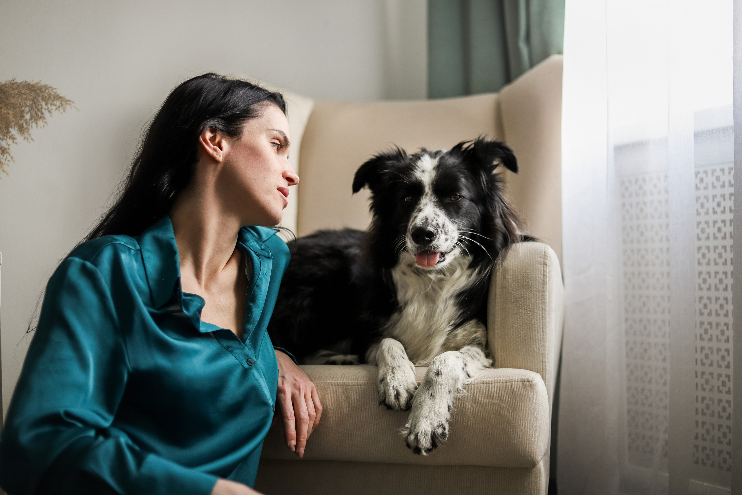 Даша и Катцу. Фотограф — Анималист | Санкт-Петербург