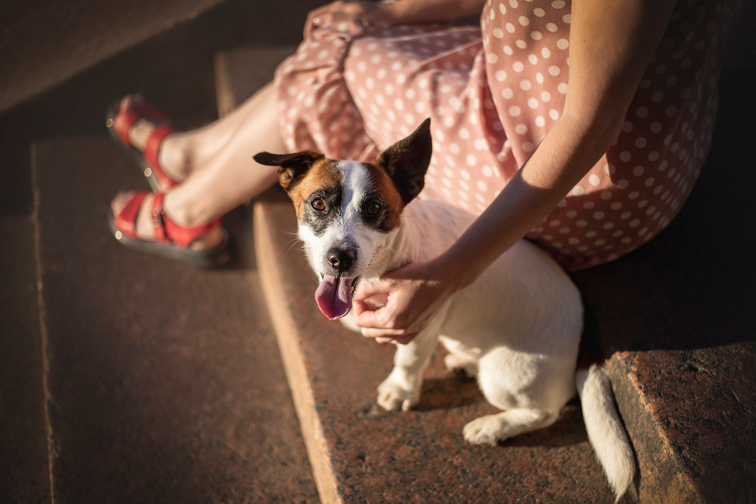 Виктория и Майти. Фотограф — Анималист | Санкт-Петербург
