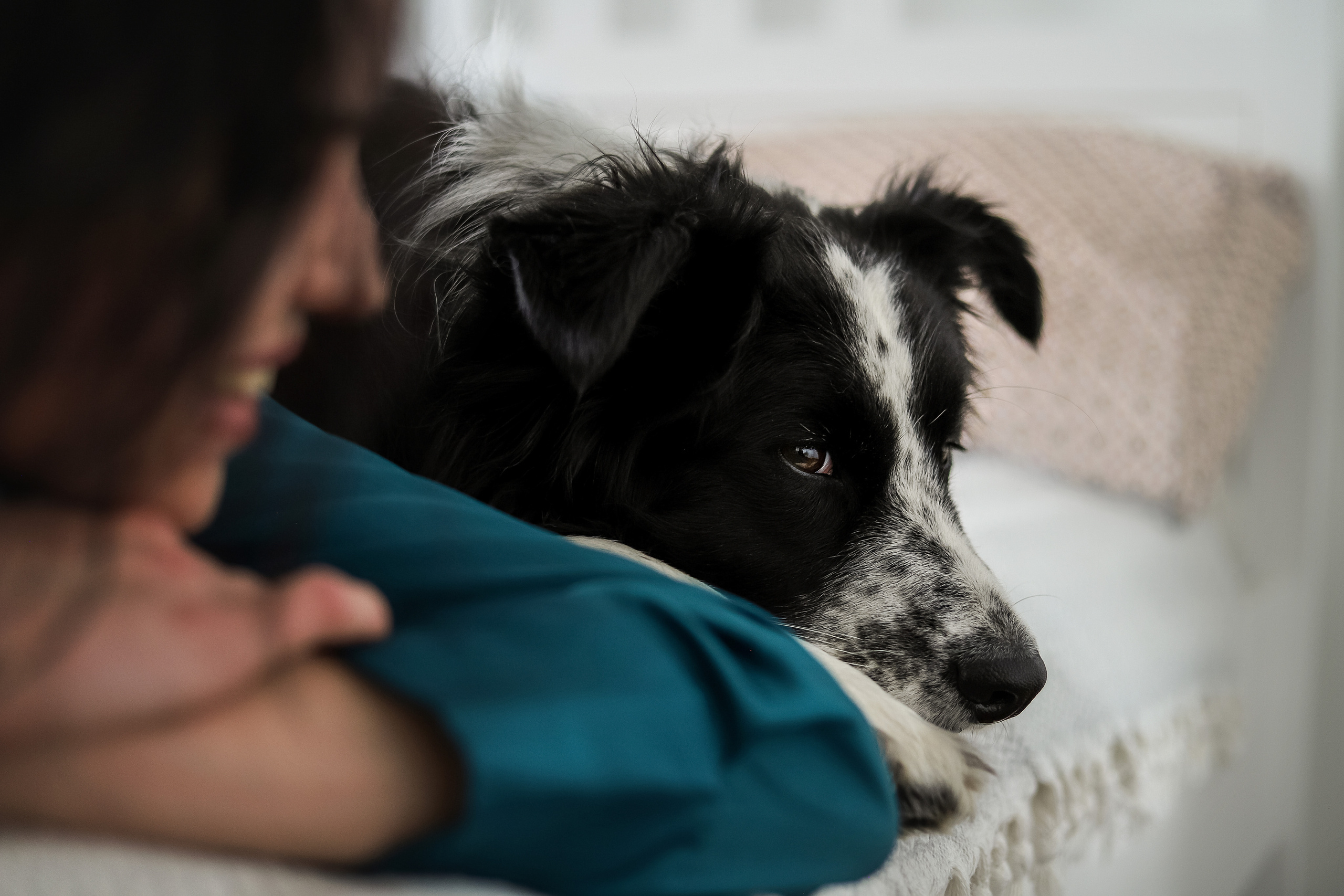 Даша и Катцу. Фотограф — Анималист | Санкт-Петербург