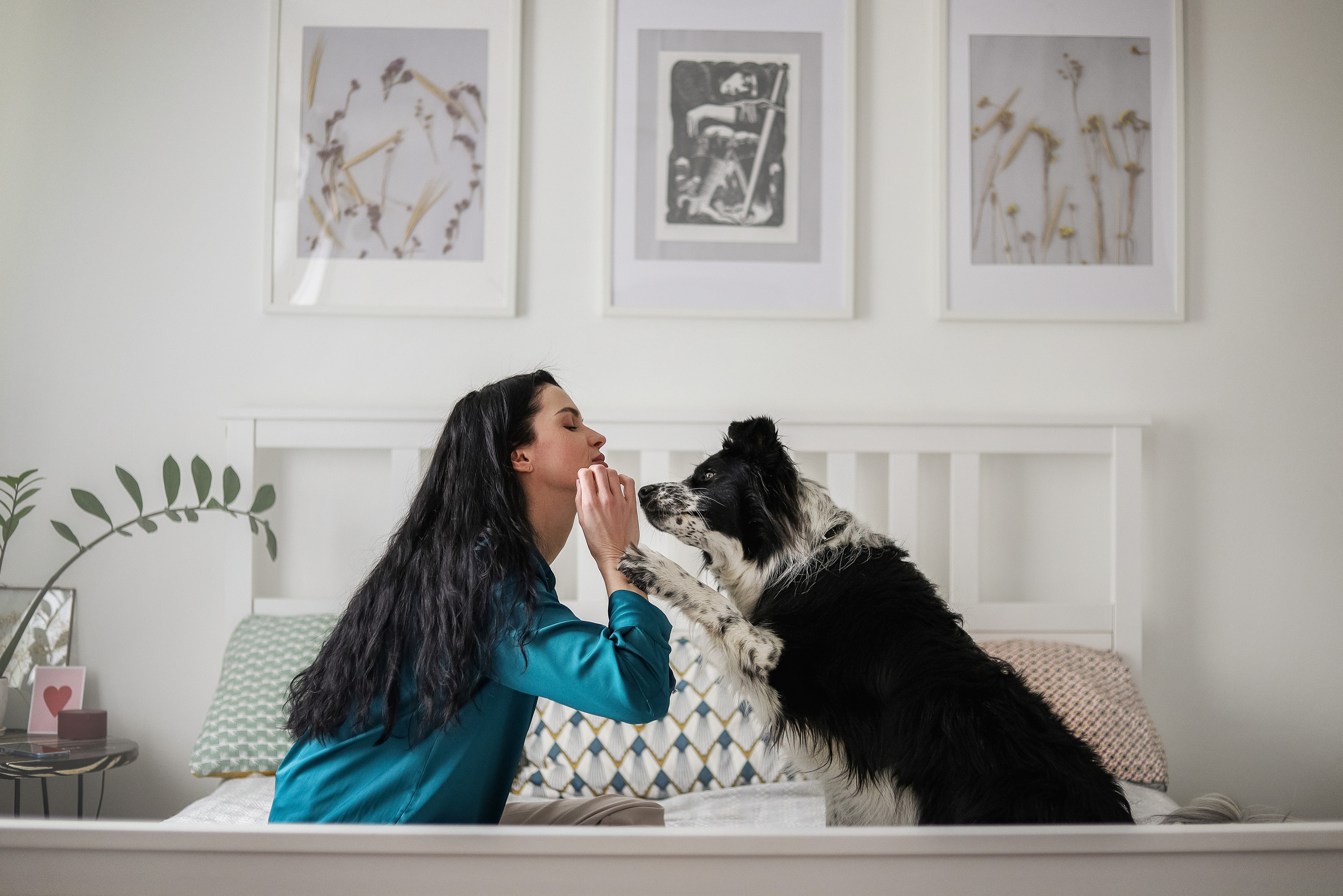 Даша и Катцу. Фотограф — Анималист | Санкт-Петербург