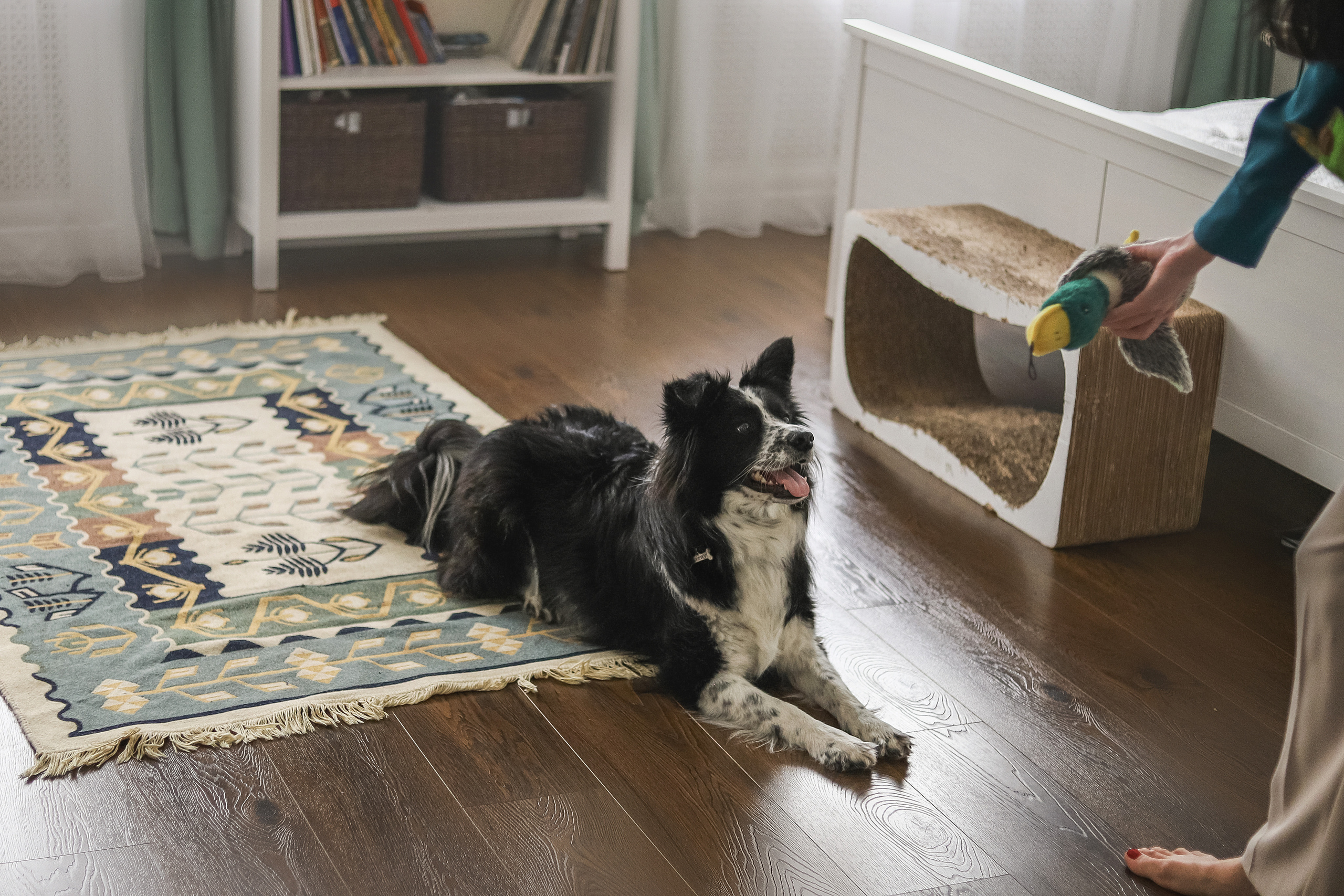 Даша и Катцу. Фотограф — Анималист | Санкт-Петербург