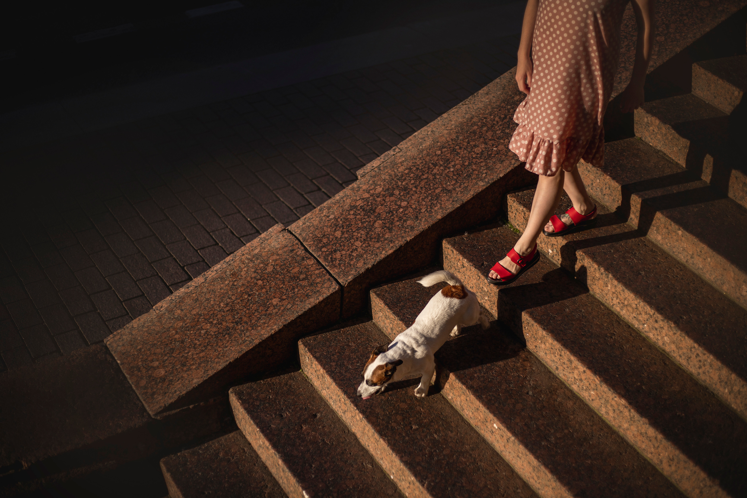 Виктория и Майти. Фотограф — Анималист | Санкт-Петербург