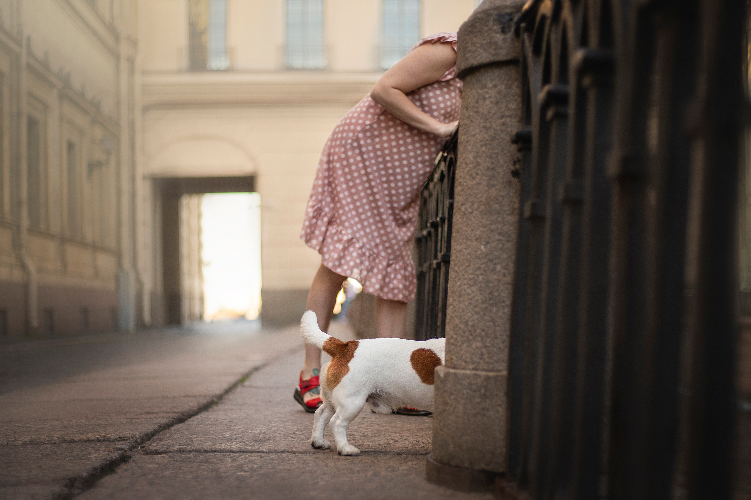 Виктория и Майти. Фотограф — Анималист | Санкт-Петербург