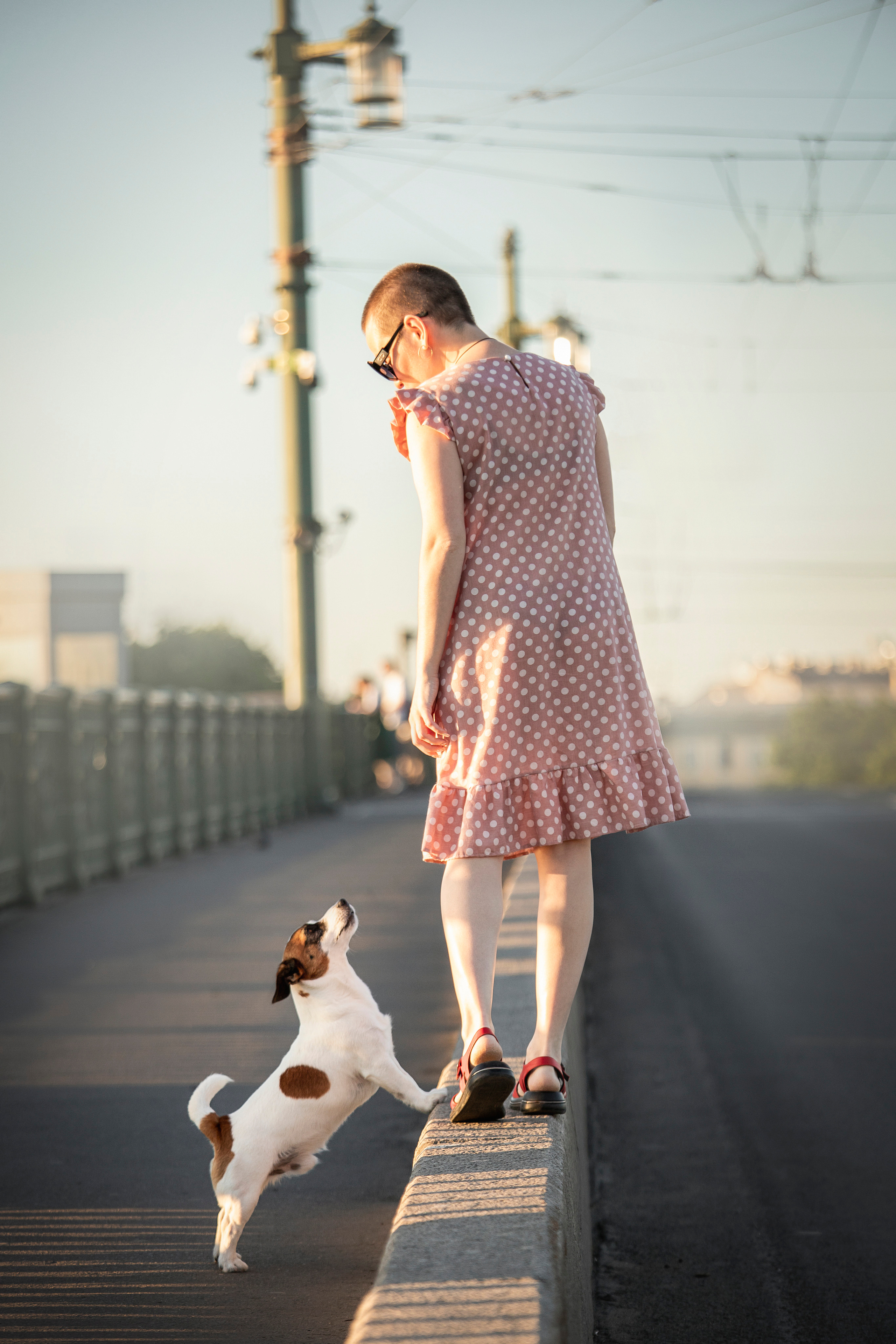 Виктория и Майти. Фотограф — Анималист | Санкт-Петербург