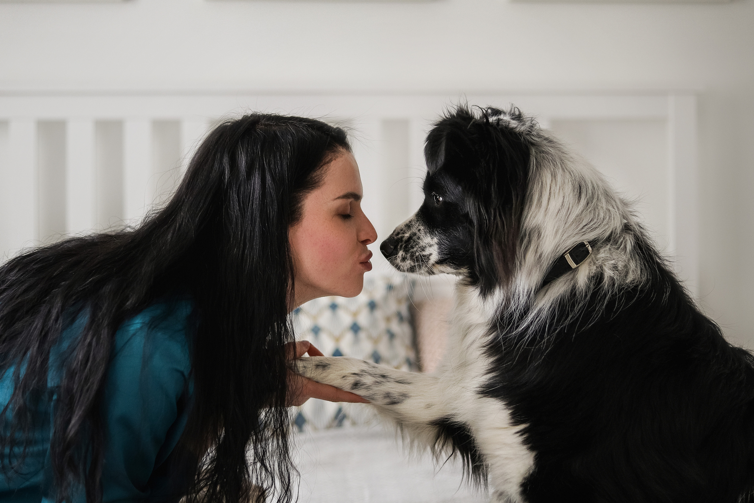 Даша и Катцу. Фотограф — Анималист | Санкт-Петербург