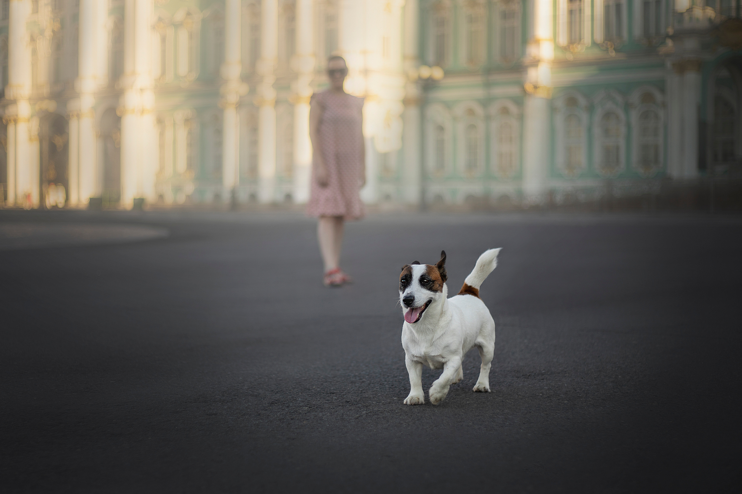 Виктория и Майти. Фотограф — Анималист | Санкт-Петербург