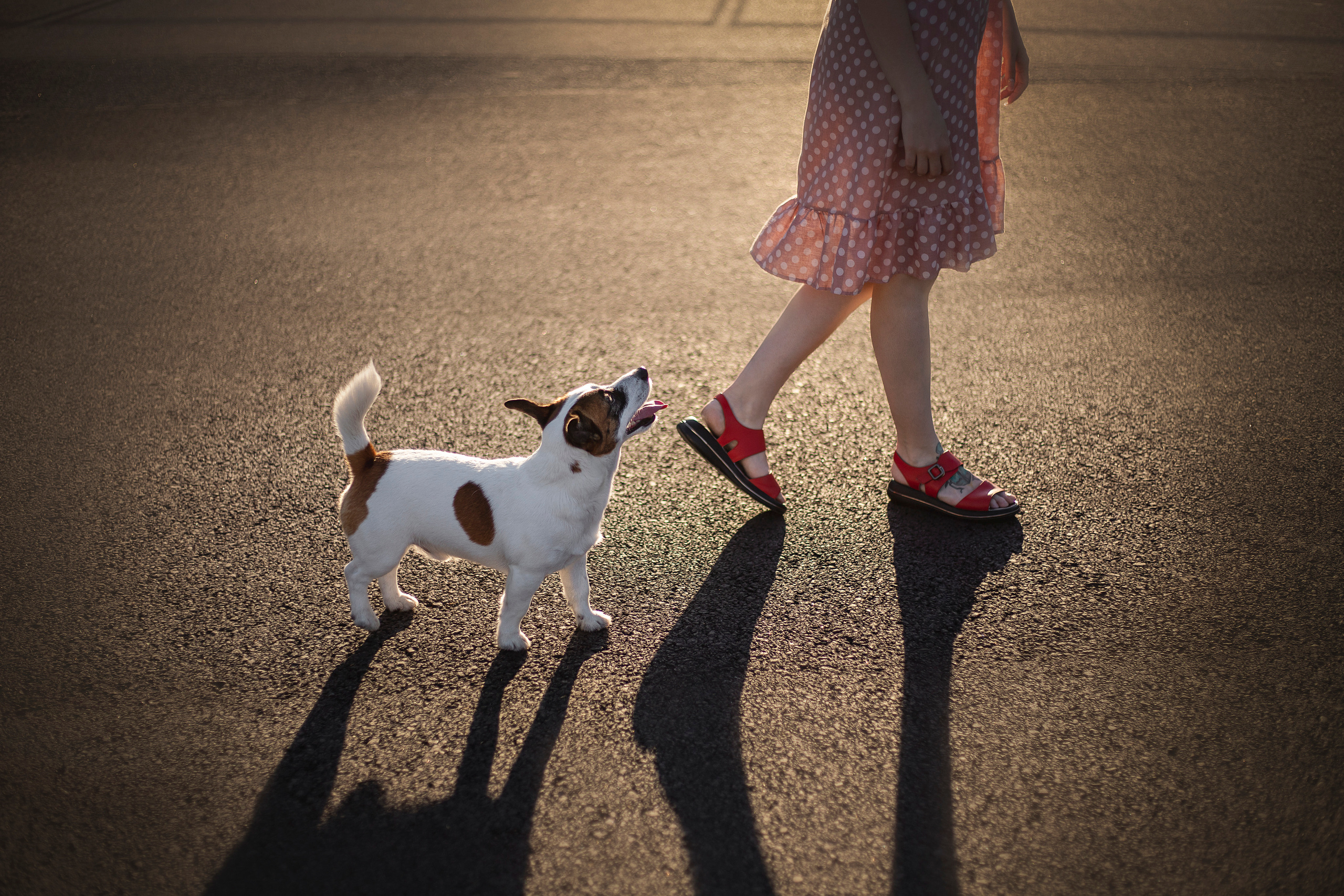 Виктория и Майти. Фотограф — Анималист | Санкт-Петербург