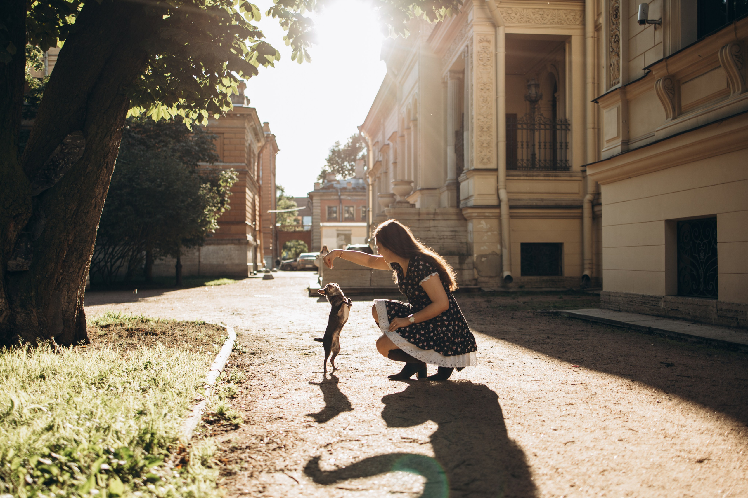 Даша и ее мальчики. Фотограф — Анималист | Санкт-Петербург