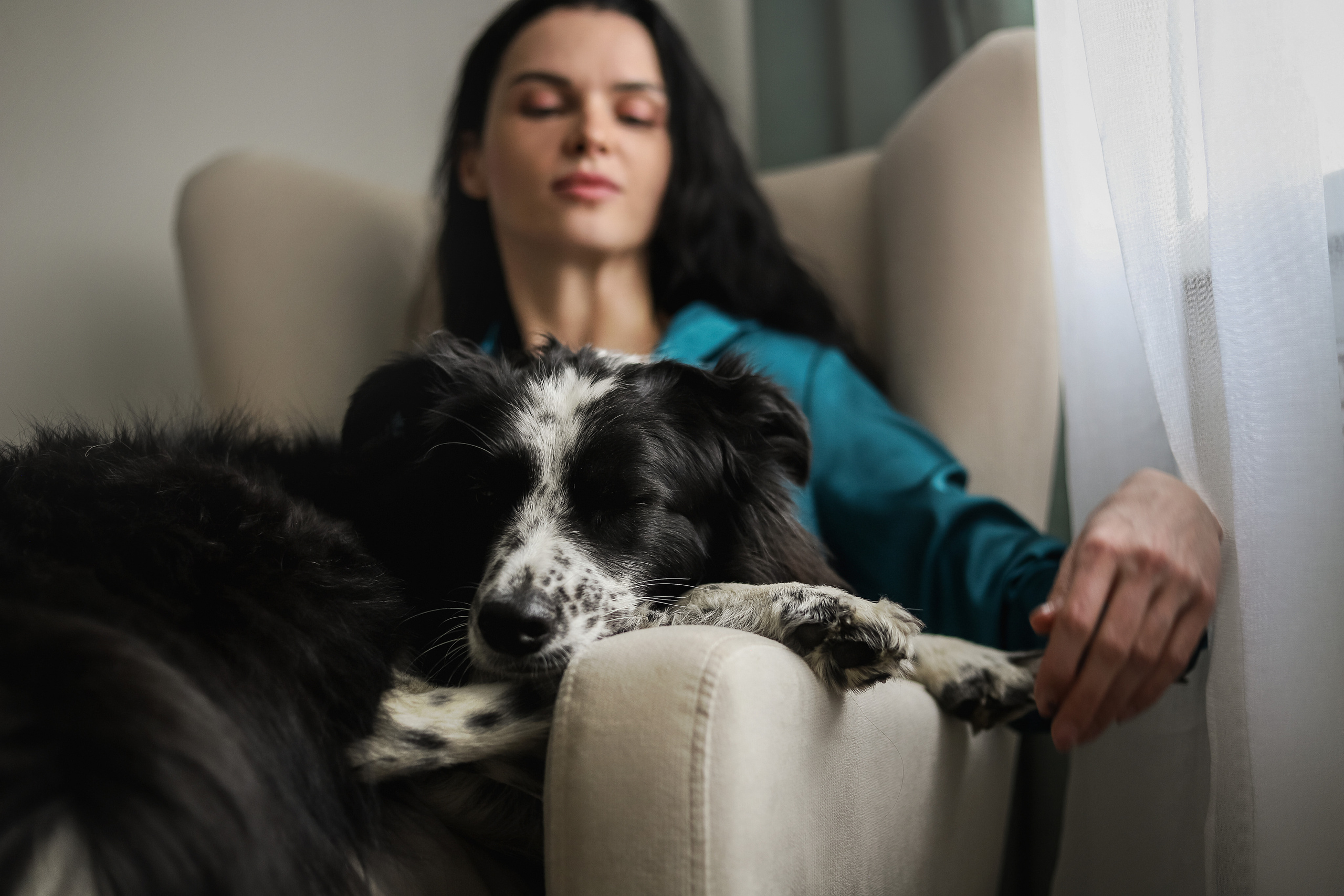 Даша и Катцу. Фотограф — Анималист | Санкт-Петербург