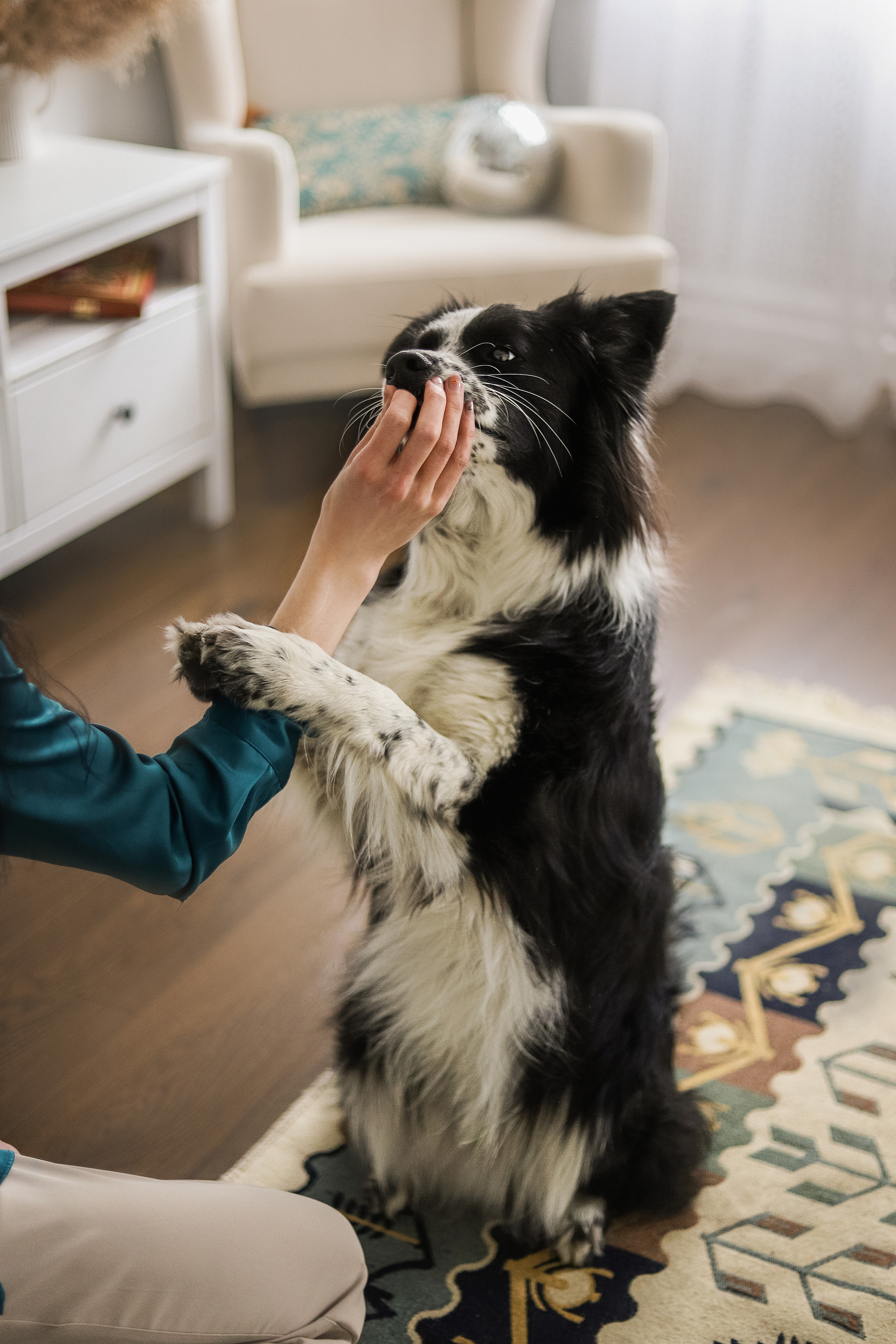 Даша и Катцу. Фотограф — Анималист | Санкт-Петербург