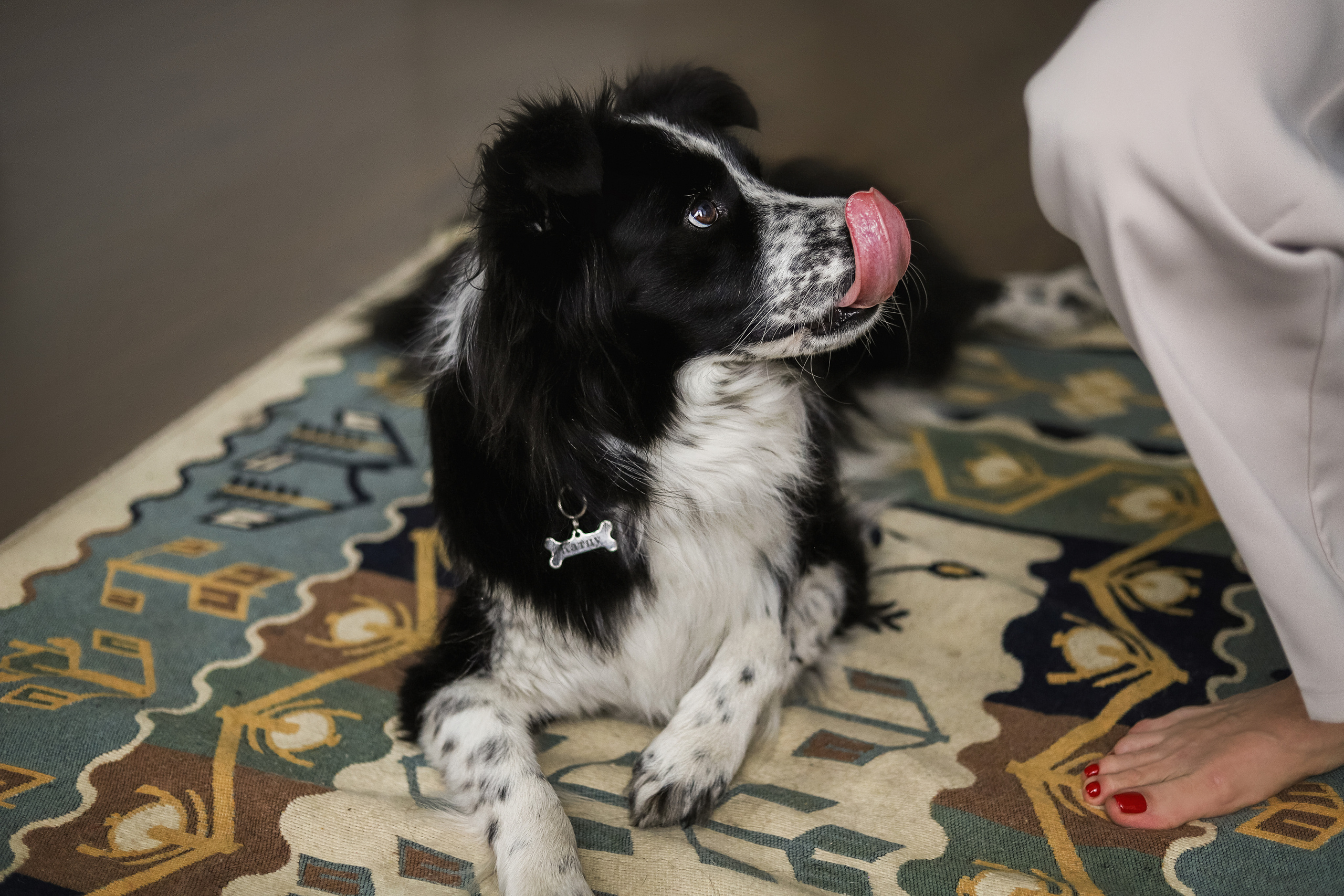 Даша и Катцу. Фотограф — Анималист | Санкт-Петербург