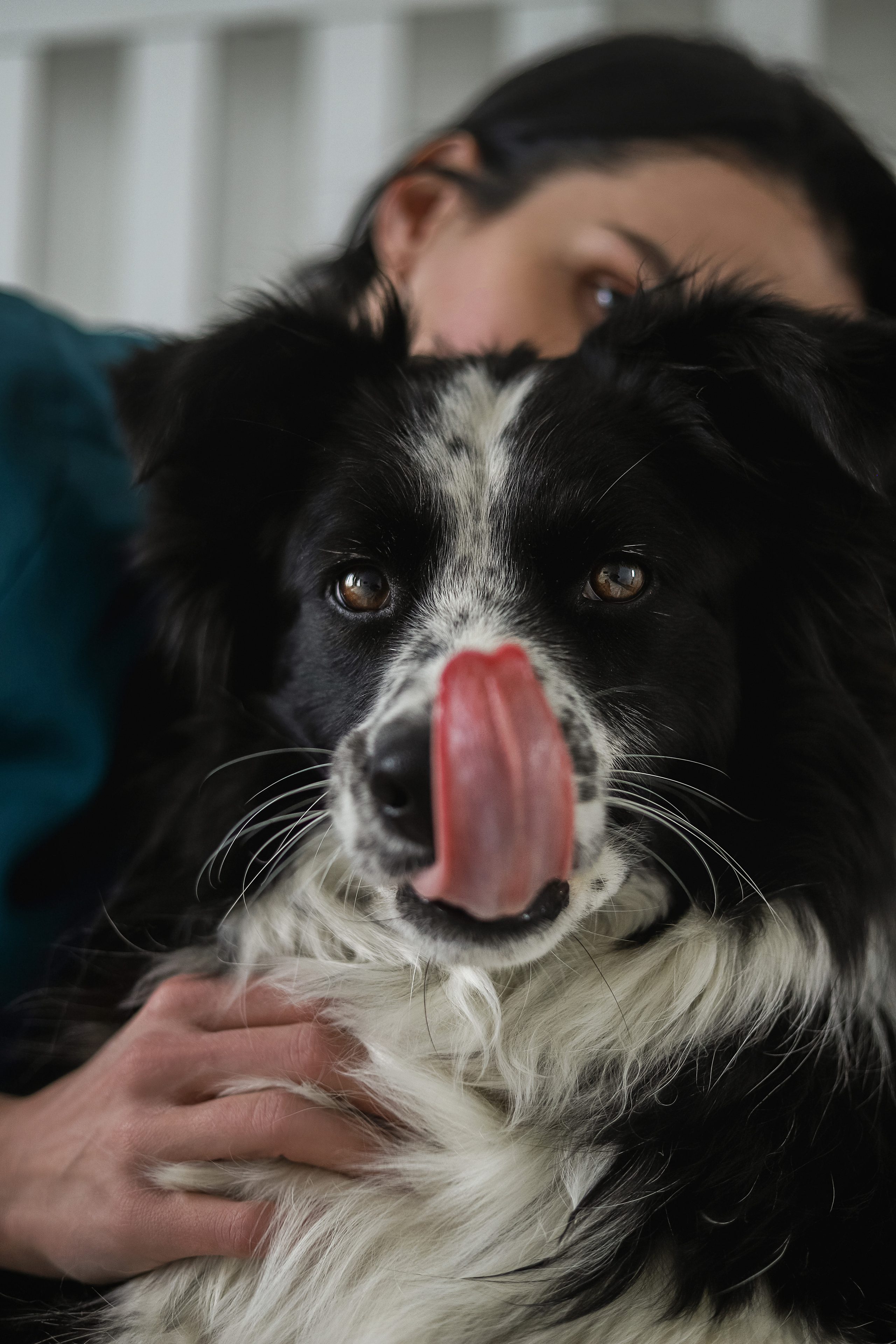 Даша и Катцу. Фотограф — Анималист | Санкт-Петербург