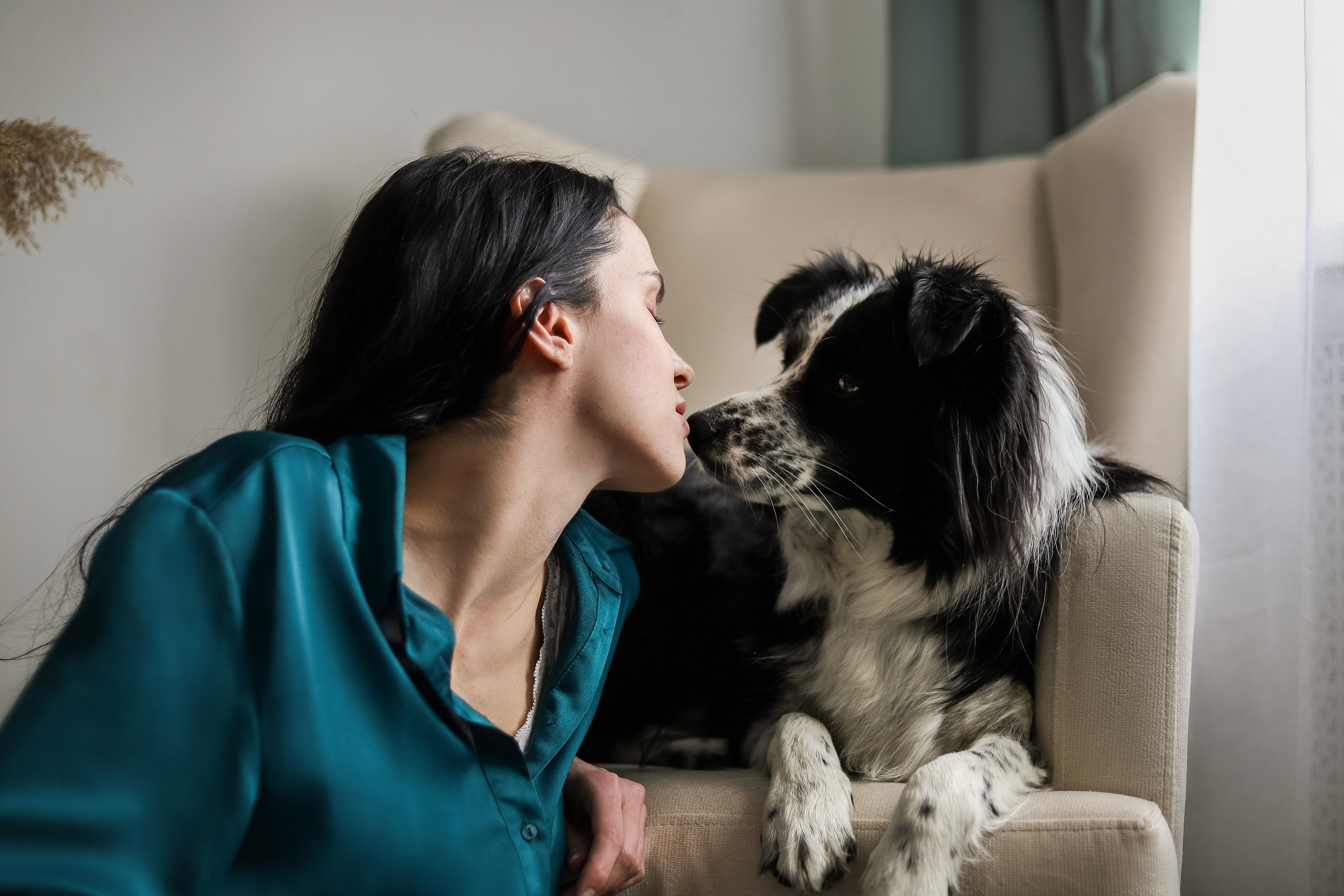 Даша и Катцу. Фотограф — Анималист | Санкт-Петербург