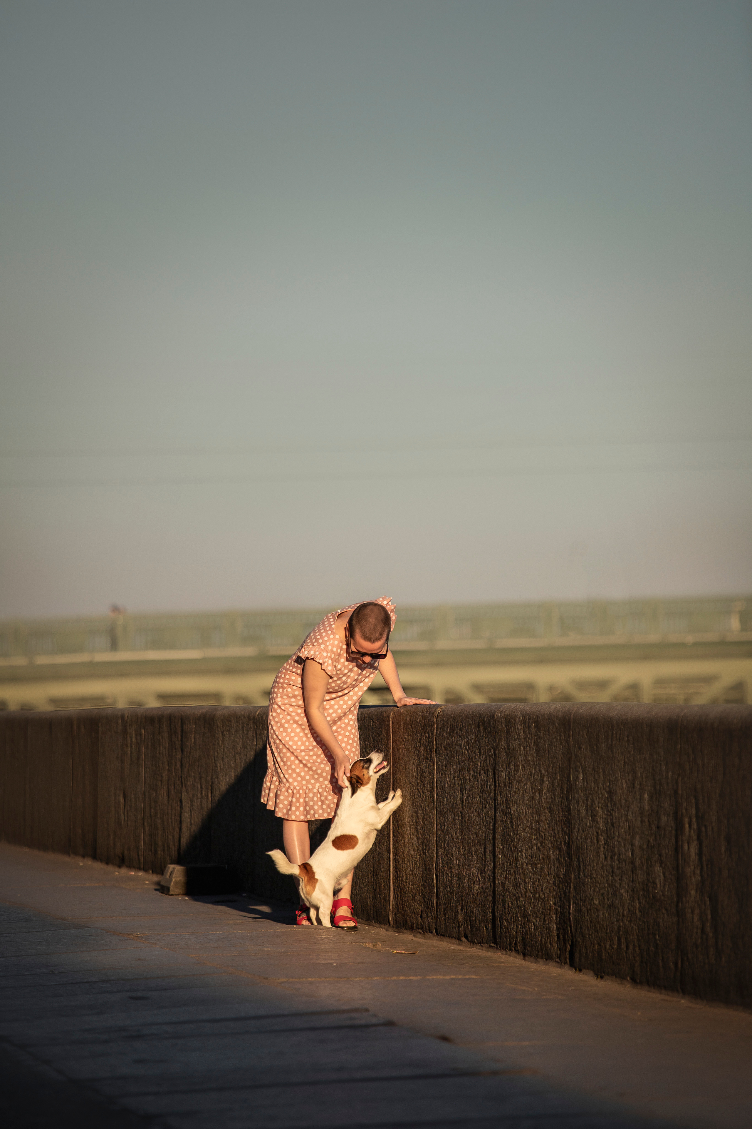 Виктория и Майти. Фотограф — Анималист | Санкт-Петербург