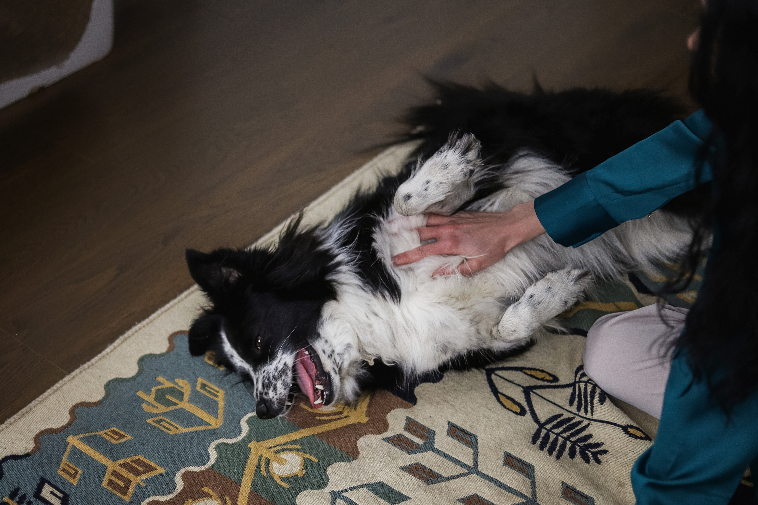 Даша и Катцу. Фотограф — Анималист | Санкт-Петербург