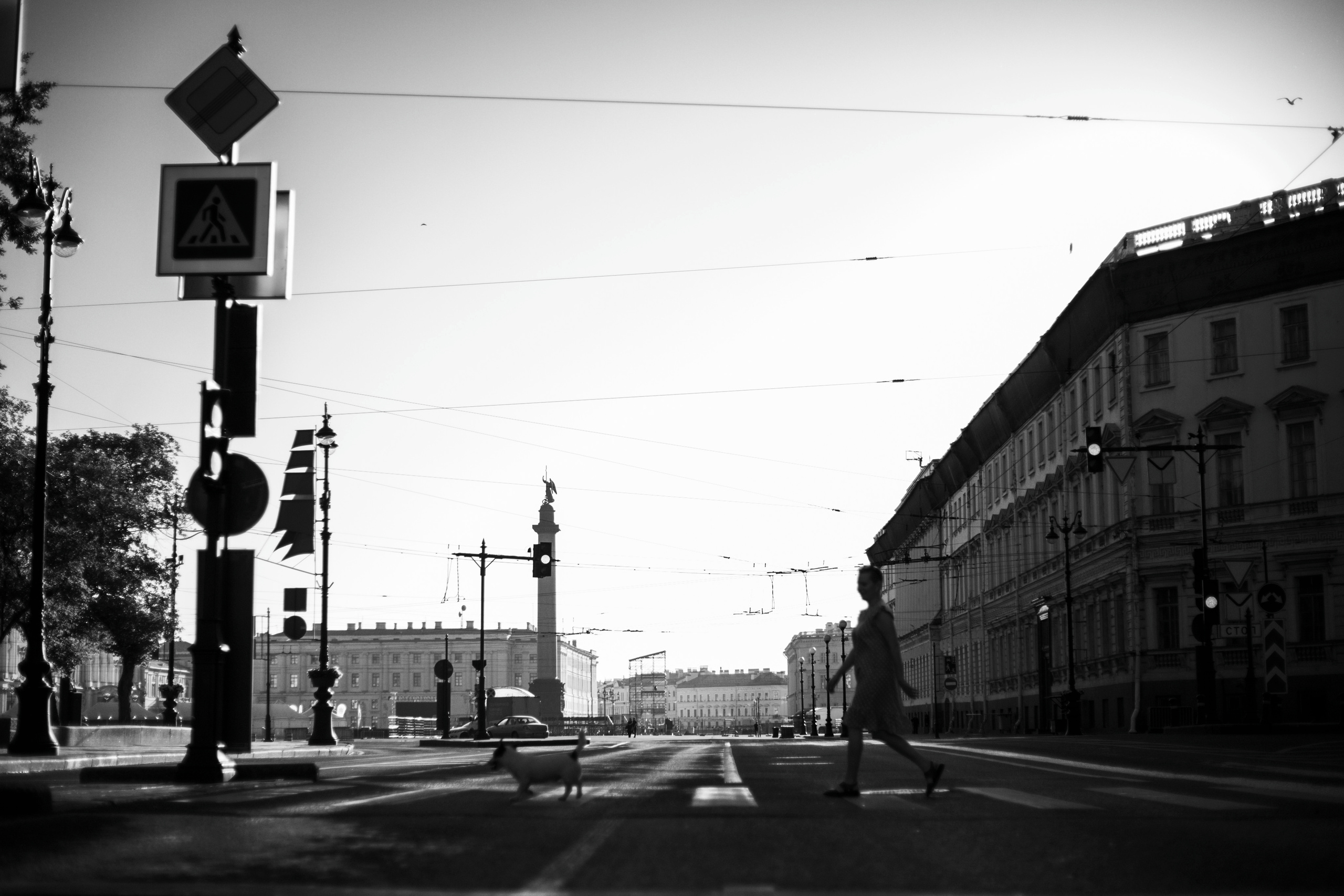 Виктория и Майти. Фотограф — Анималист | Санкт-Петербург