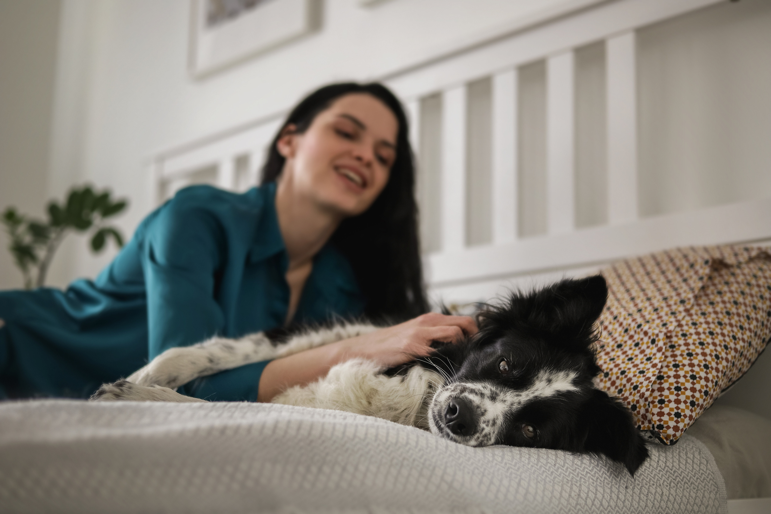 Даша и Катцу. Фотограф — Анималист | Санкт-Петербург