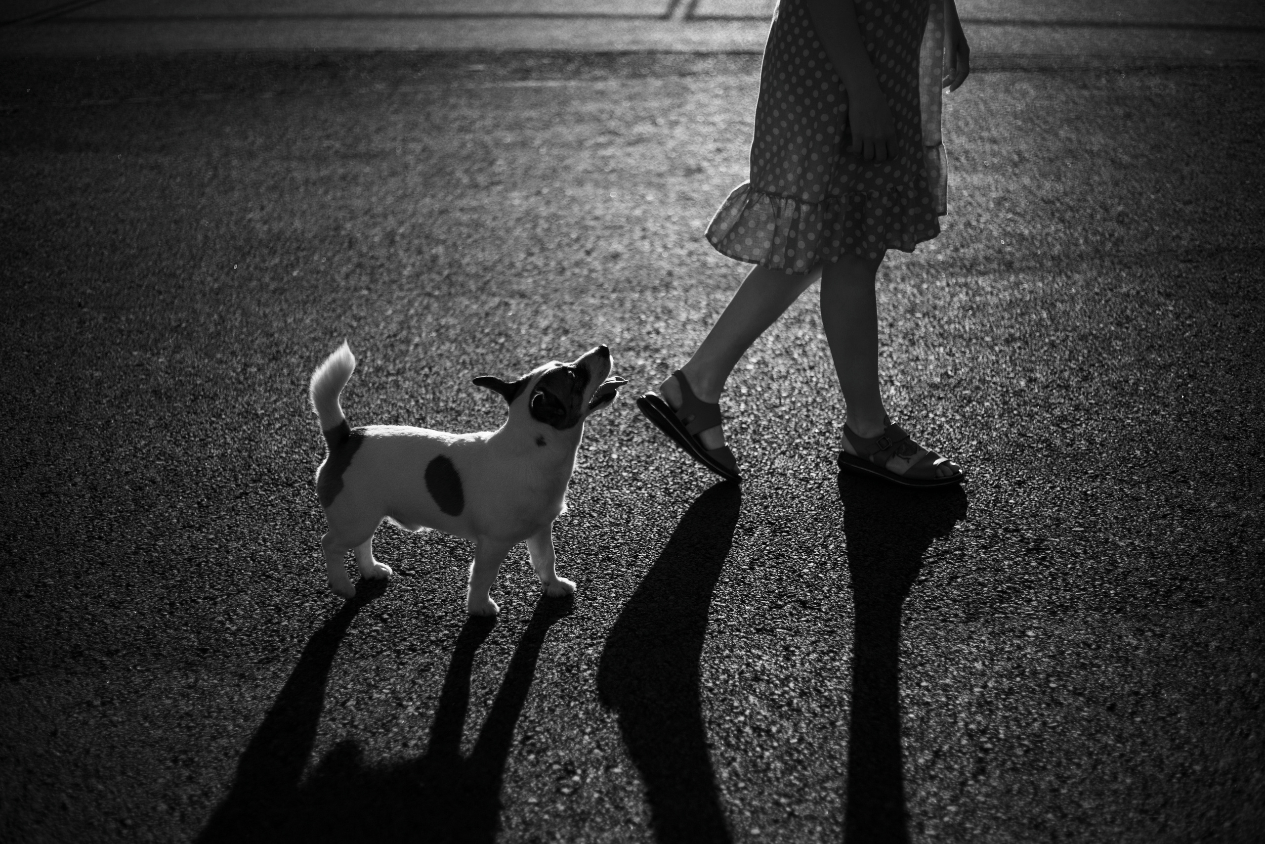 Виктория и Майти. Фотограф — Анималист | Санкт-Петербург