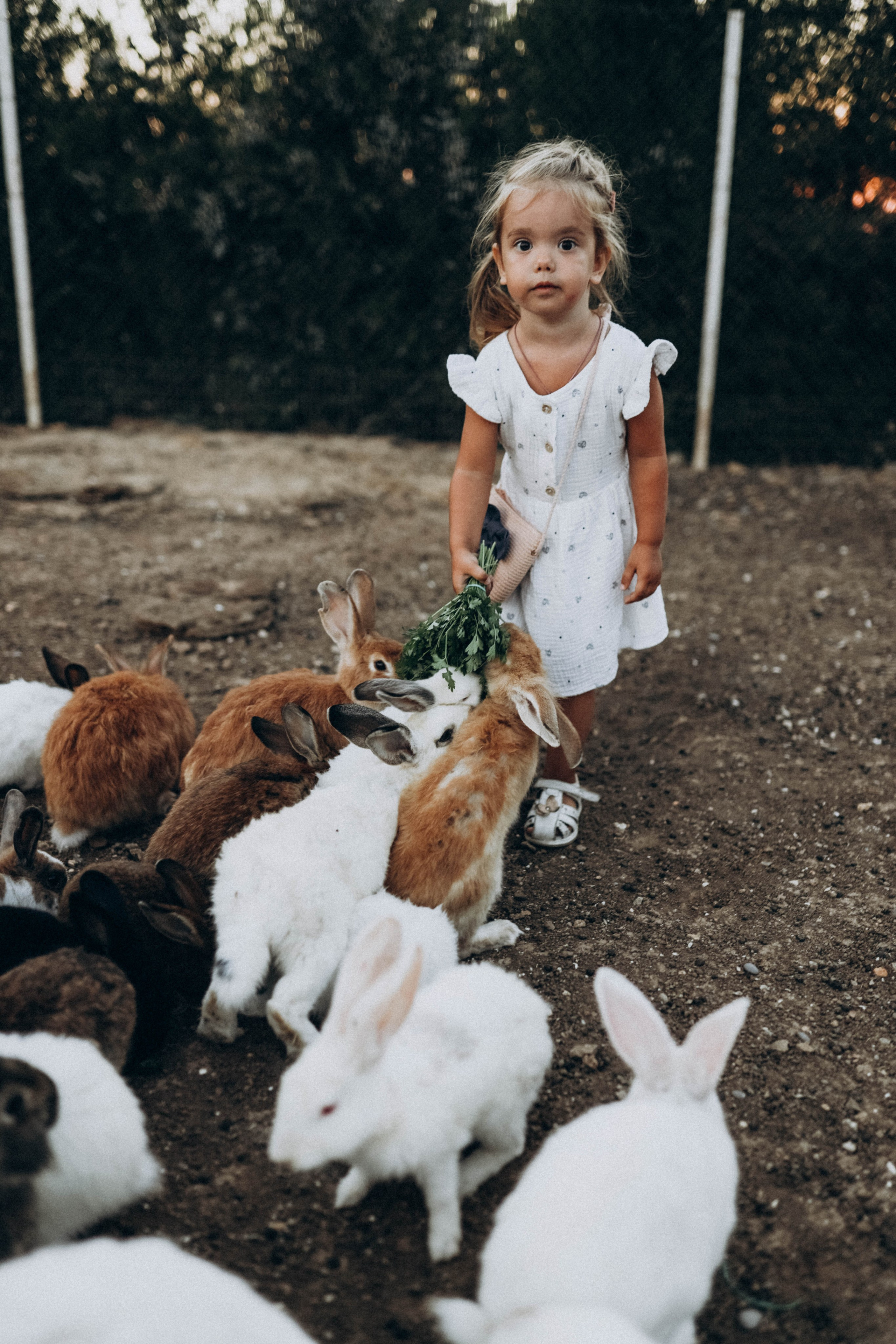 Кроликпарк 🐇. Индивидуальные и семейные съемки в Евпатории, Крыму Немировченко Анна