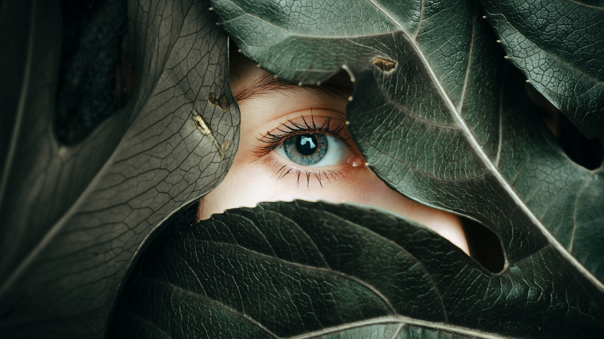 Art portfolio. Photographer in Nha Trang — Dani Prokopenko