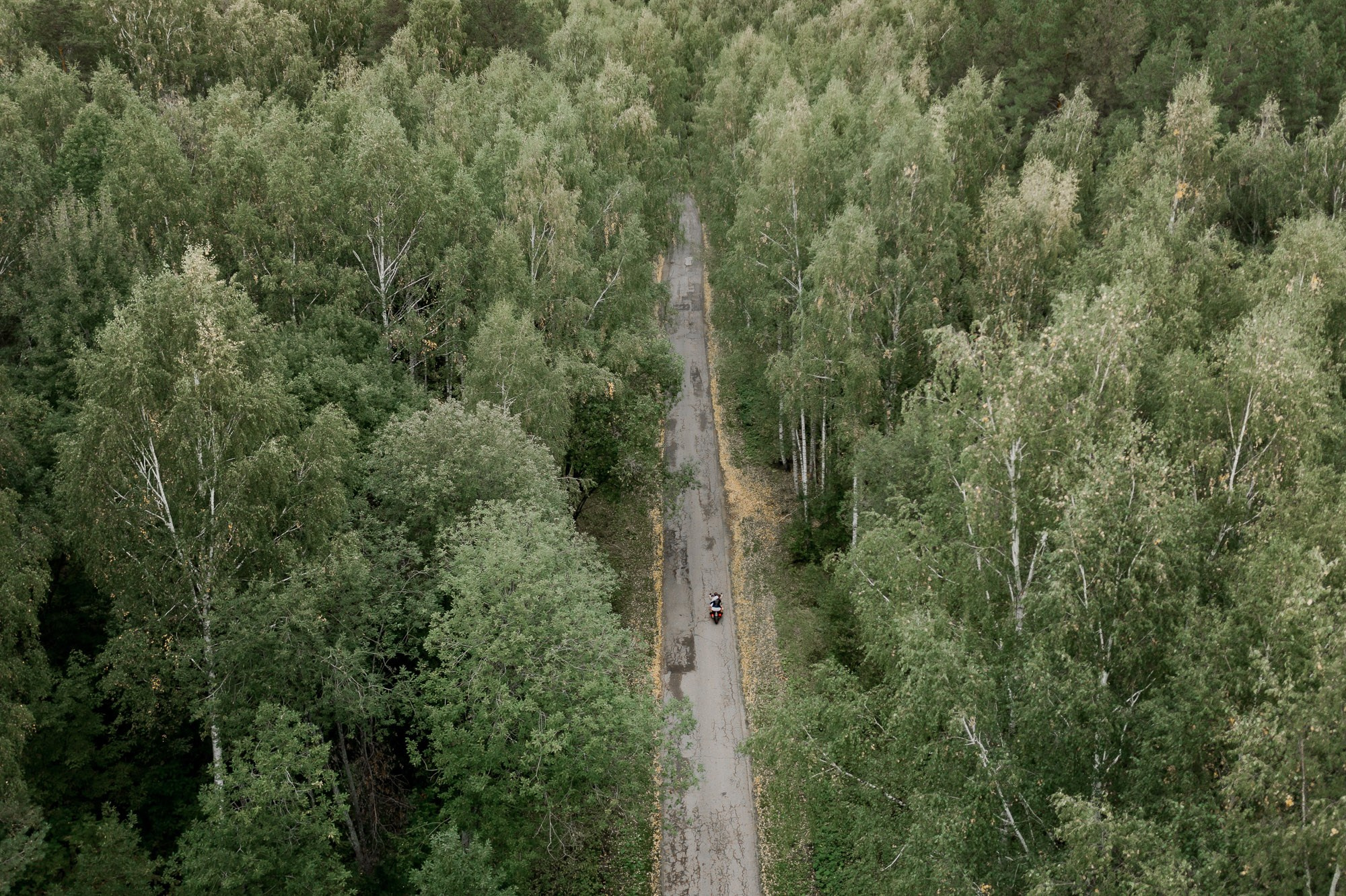 Наташа и Саша. Свадебный Фотограф Никита Духник