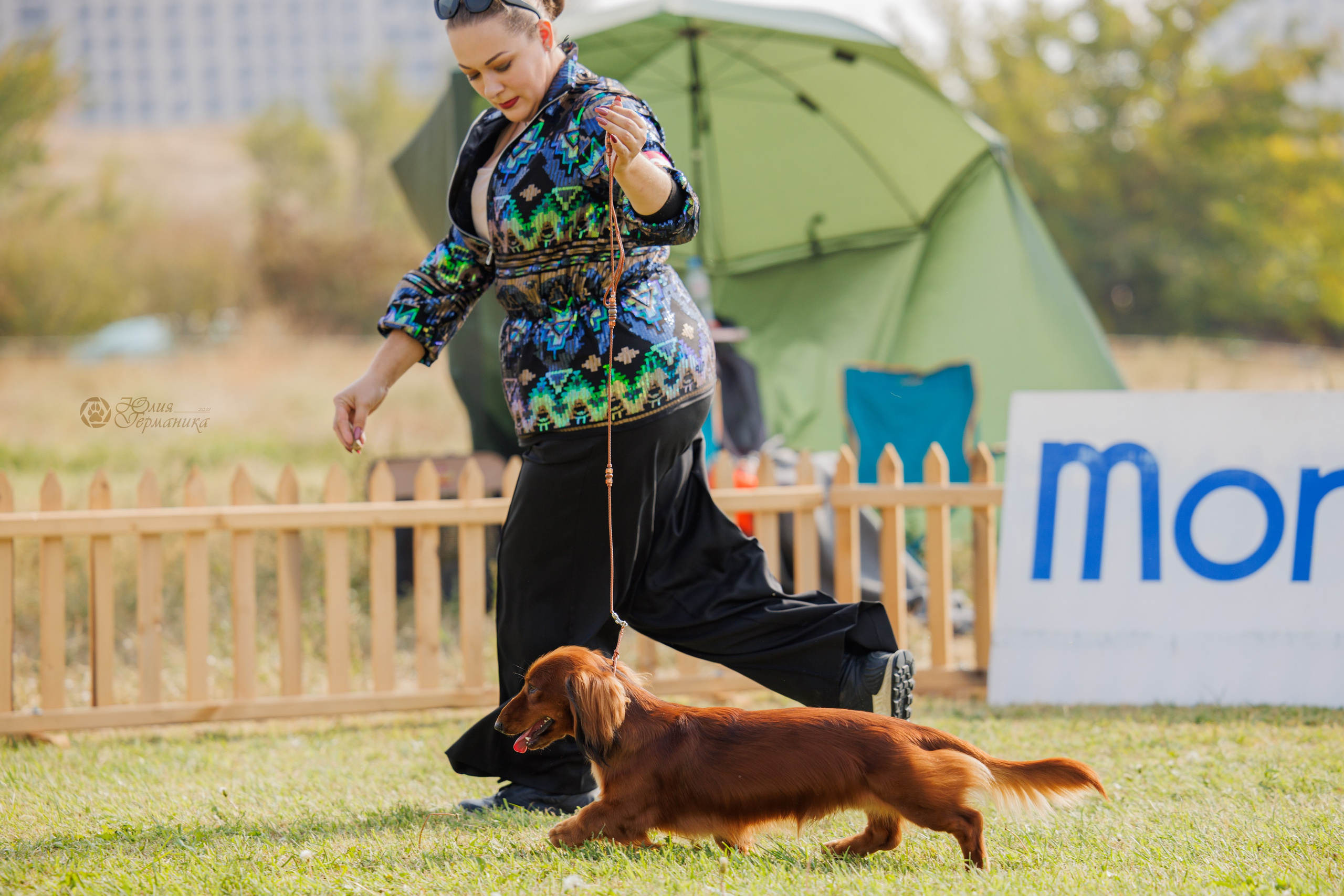 Армения,Ереван 3хCACIB 15-17.10.2024. Фотограф-анималист Юлия Германика