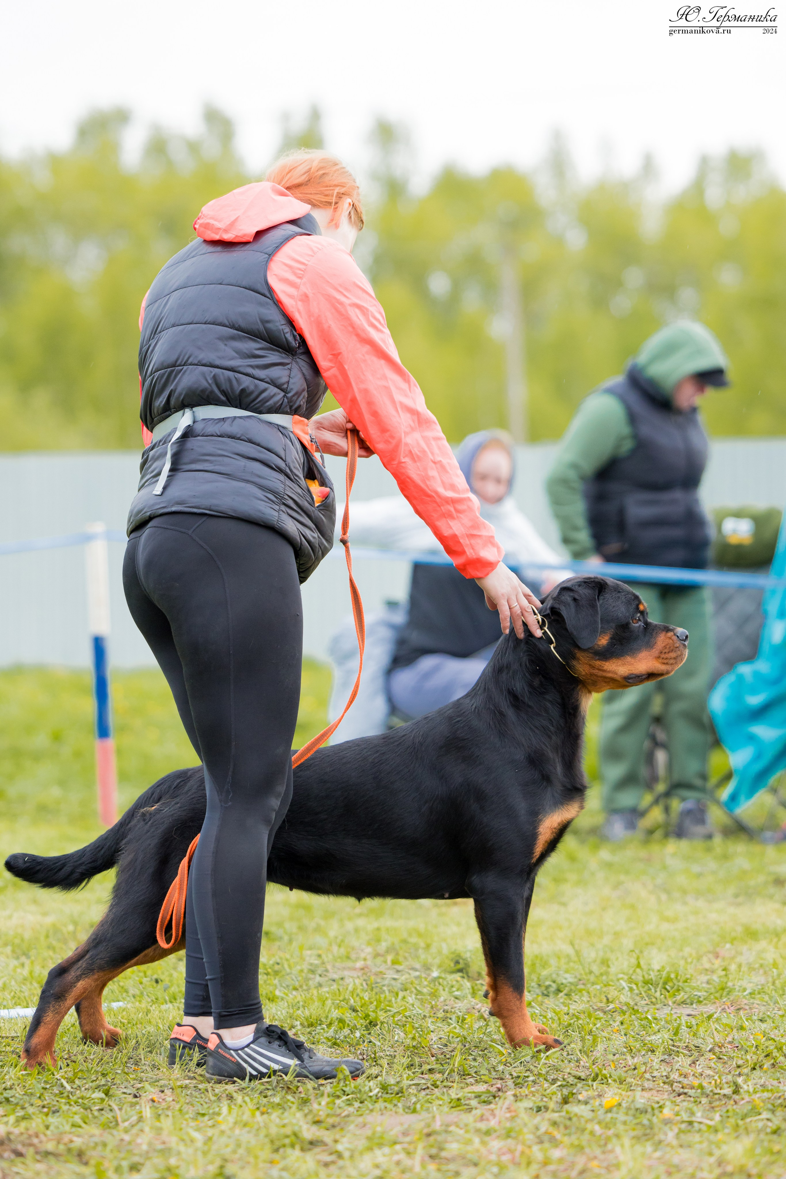 Нижний Новгород 11-12.05.2024 моно ротвейлеров. Фотограф-анималист Юлия Германика