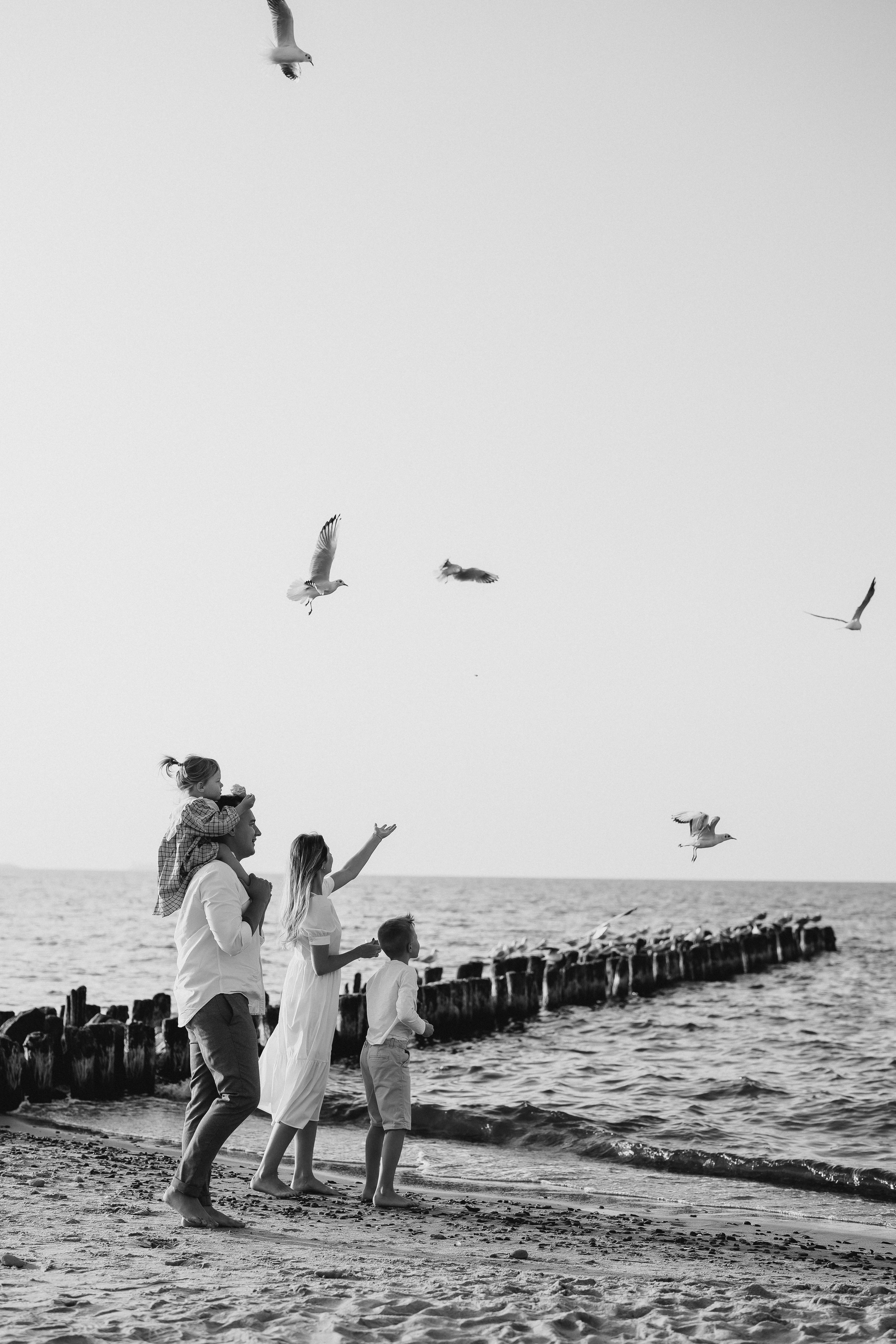 Море.Любовь. Евгения Пелипас