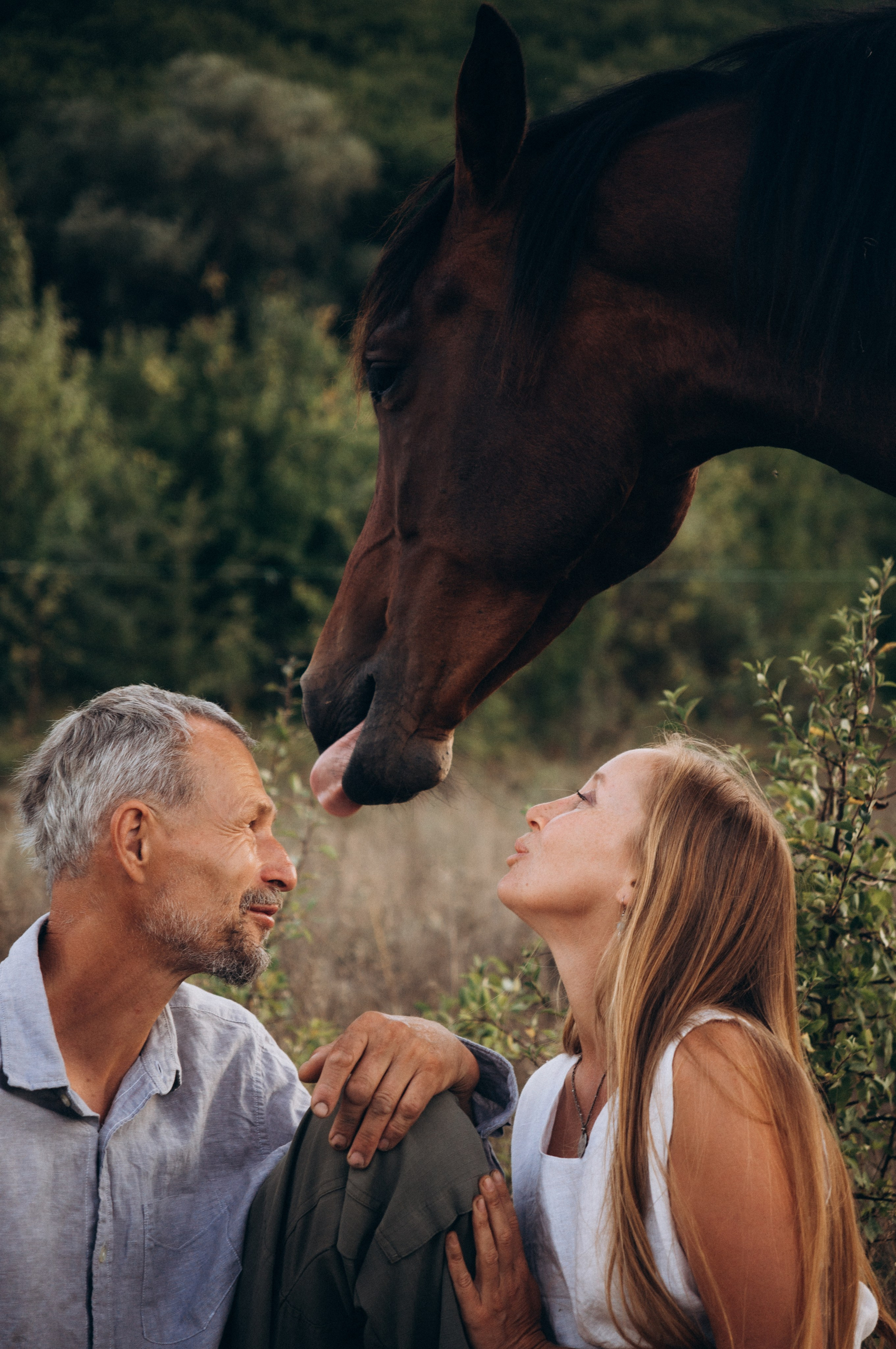 Проект свободных лошадей. Обо мне