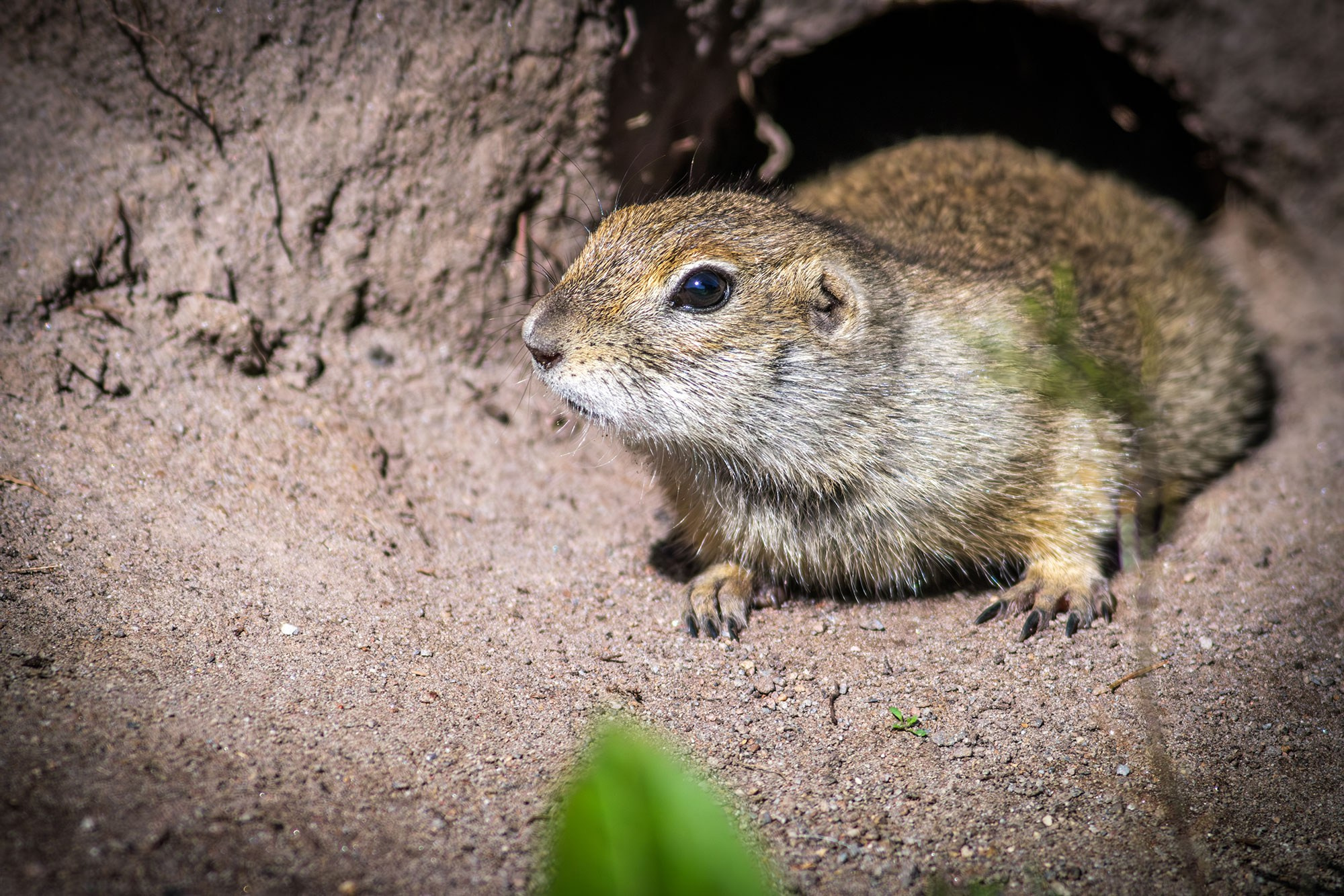 Урочище Джилы-Су