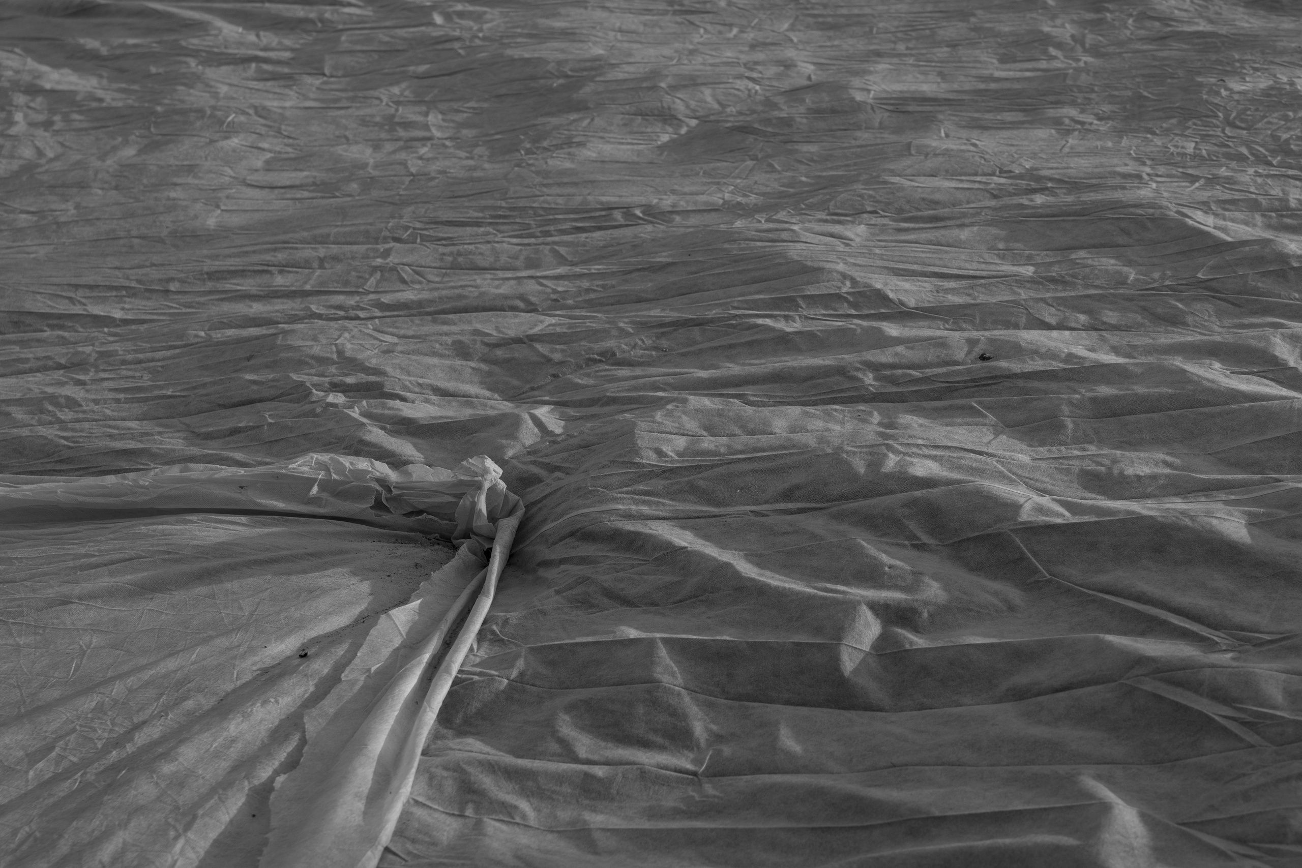 Art prints. Фотограф алина стерхова, алина стерхова фотограф, фотограф москва